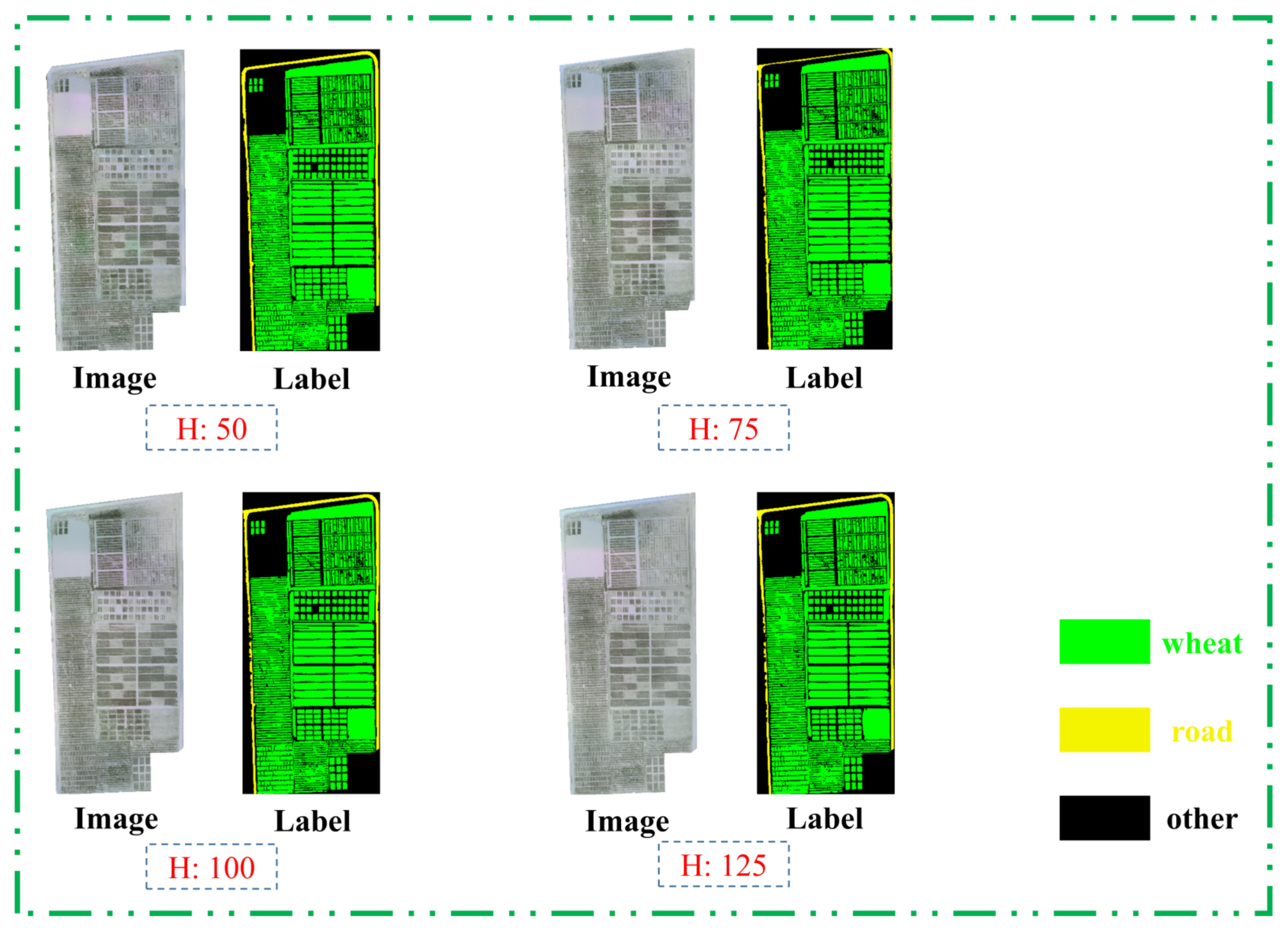 Agronomy 12 02658 g008