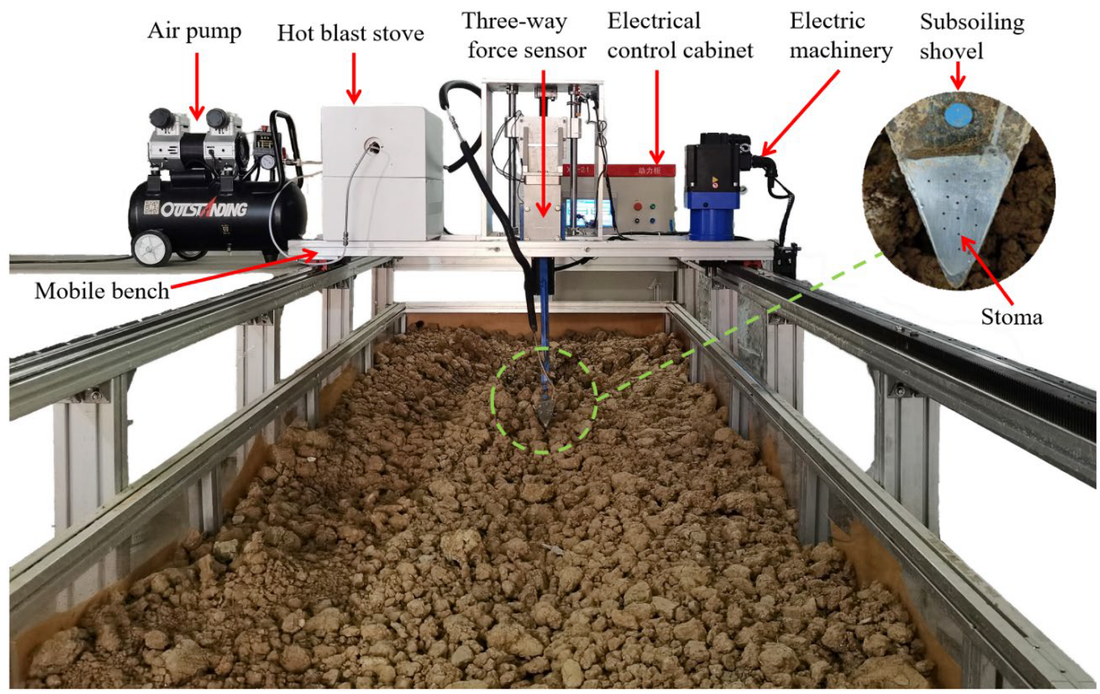 Agronomy 12 02663 g005
