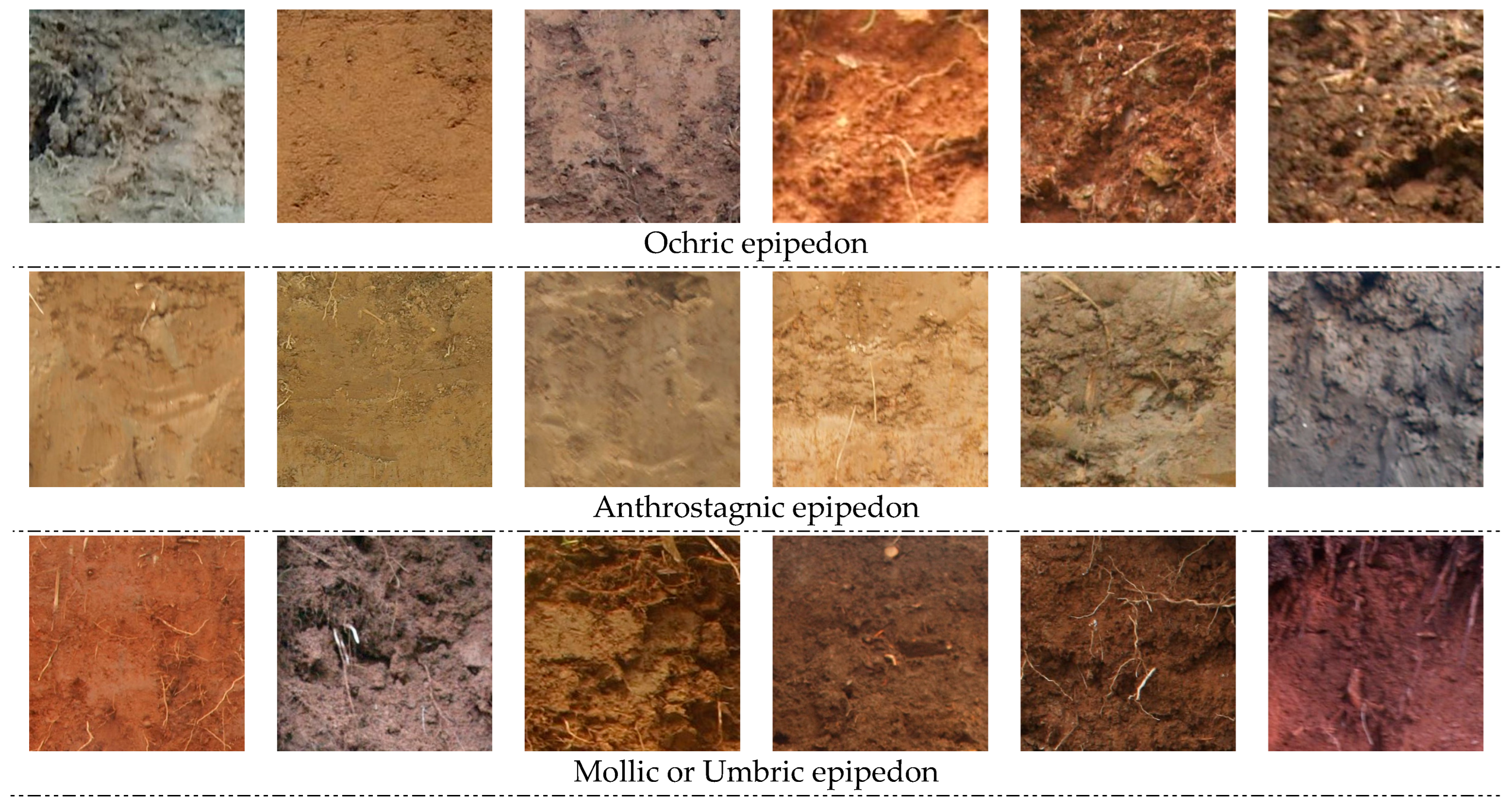 Agronomy 12 02664 g006a Agronomy 12 02664 g006a