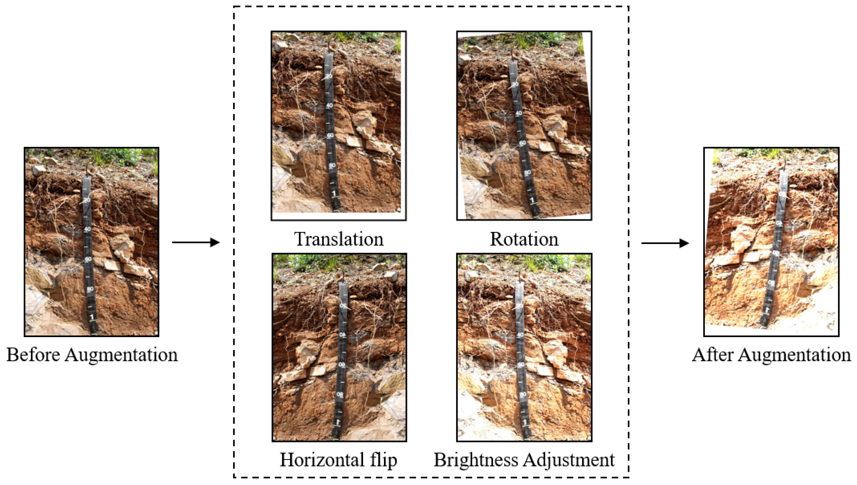 Agronomy 12 02664 g007 Agronomy 12 02664 g007