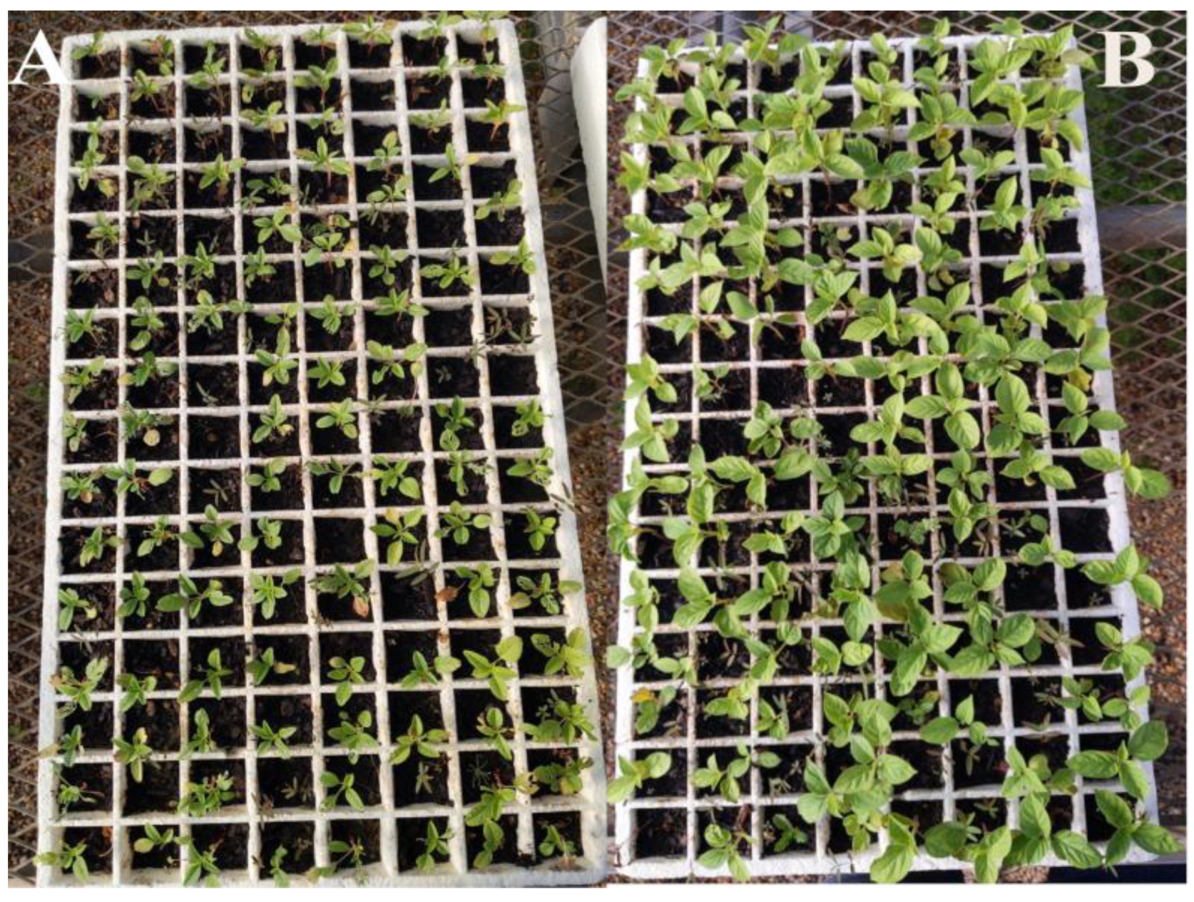 Agronomy 12 02681 g003