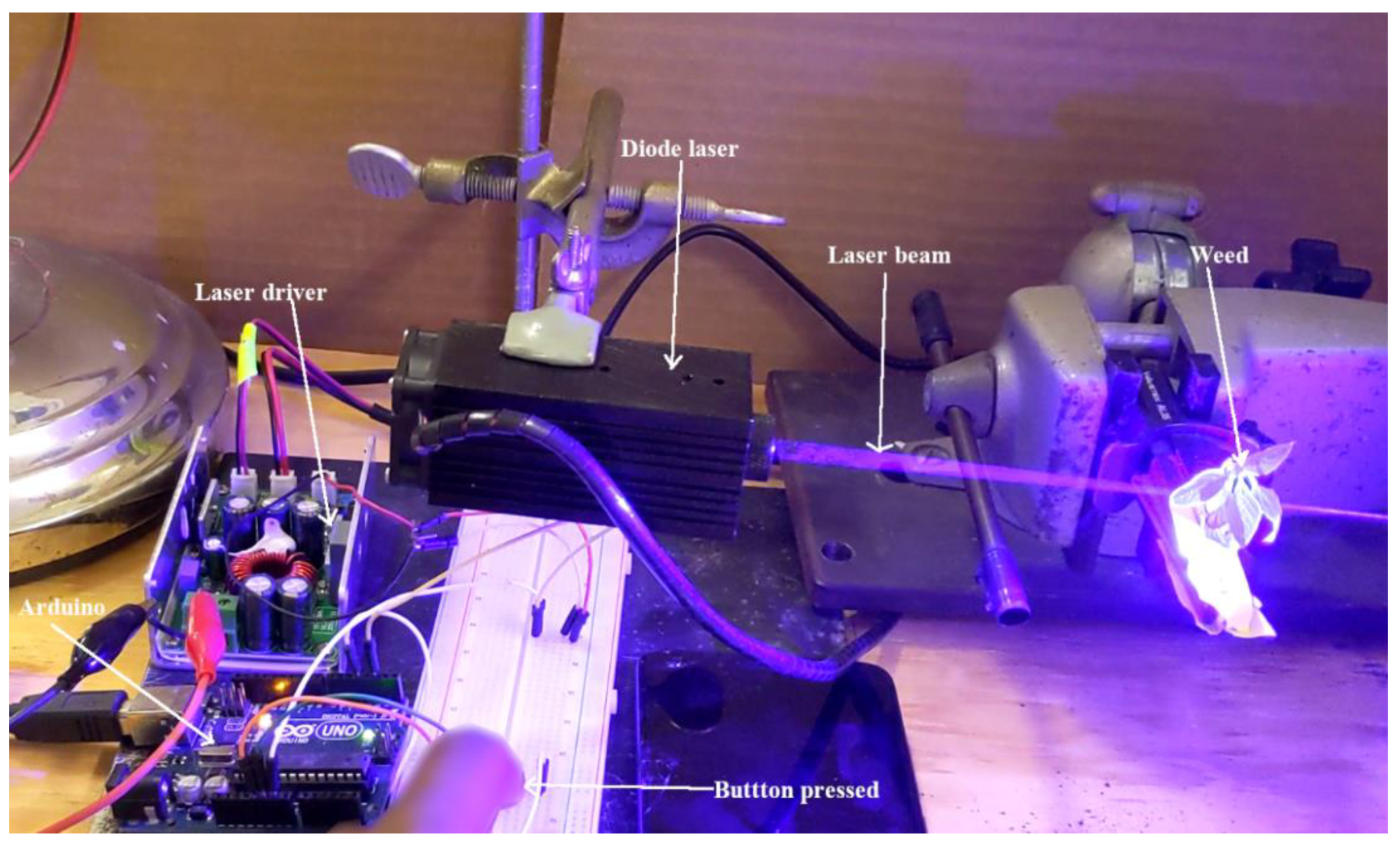 Agronomy 12 02681 g004