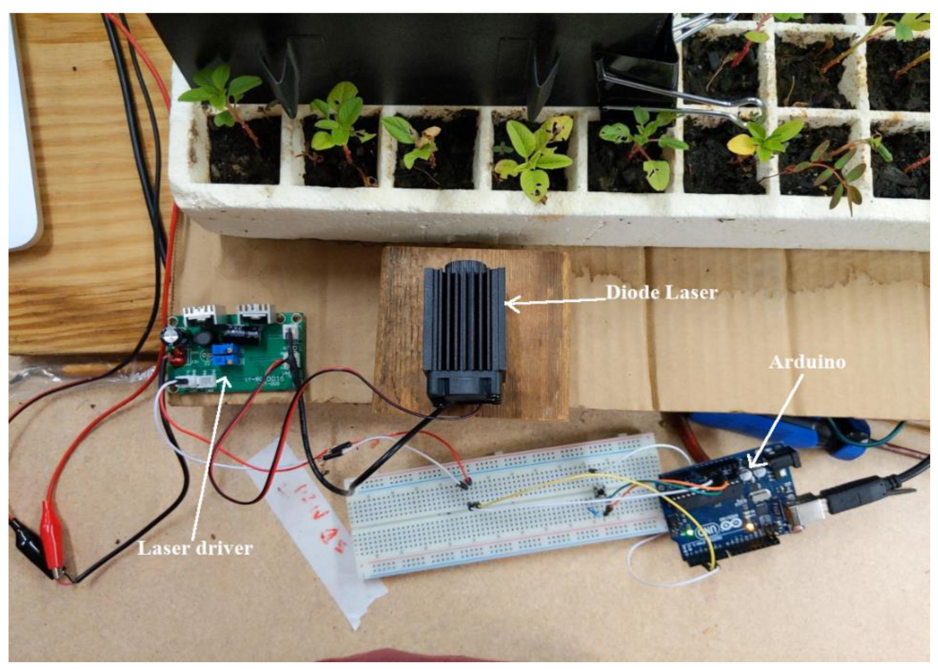 Agronomy 12 02681 g005