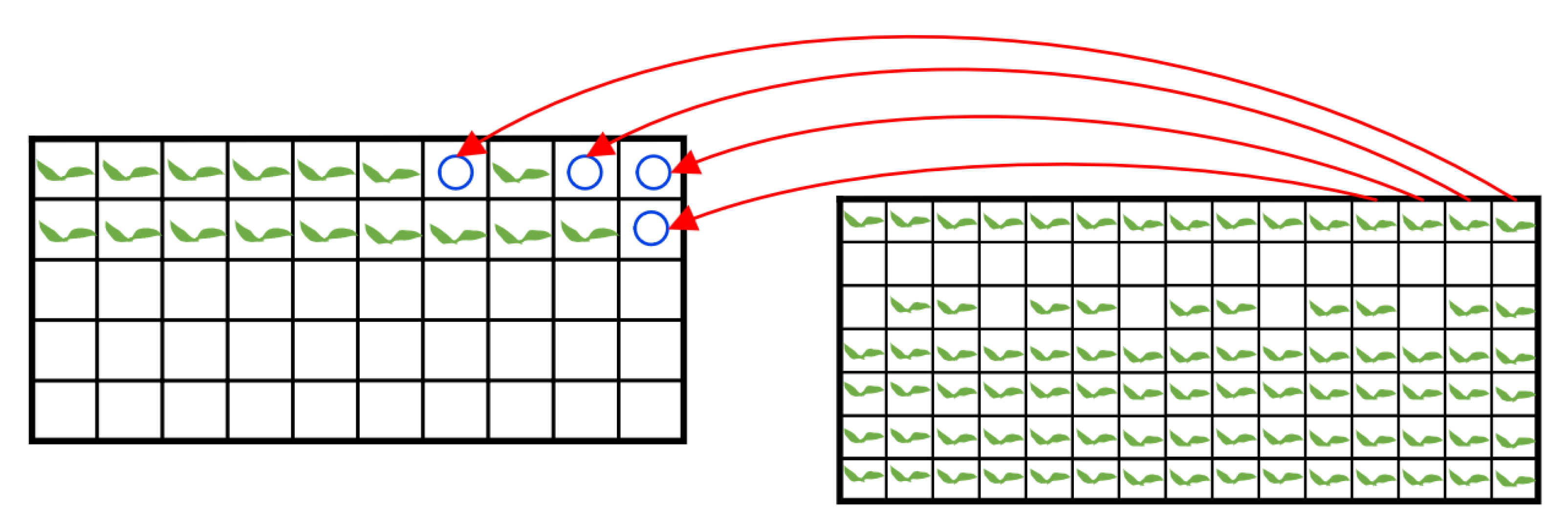 Agronomy 12 02683 g017 Agronomy 12 02683 g017