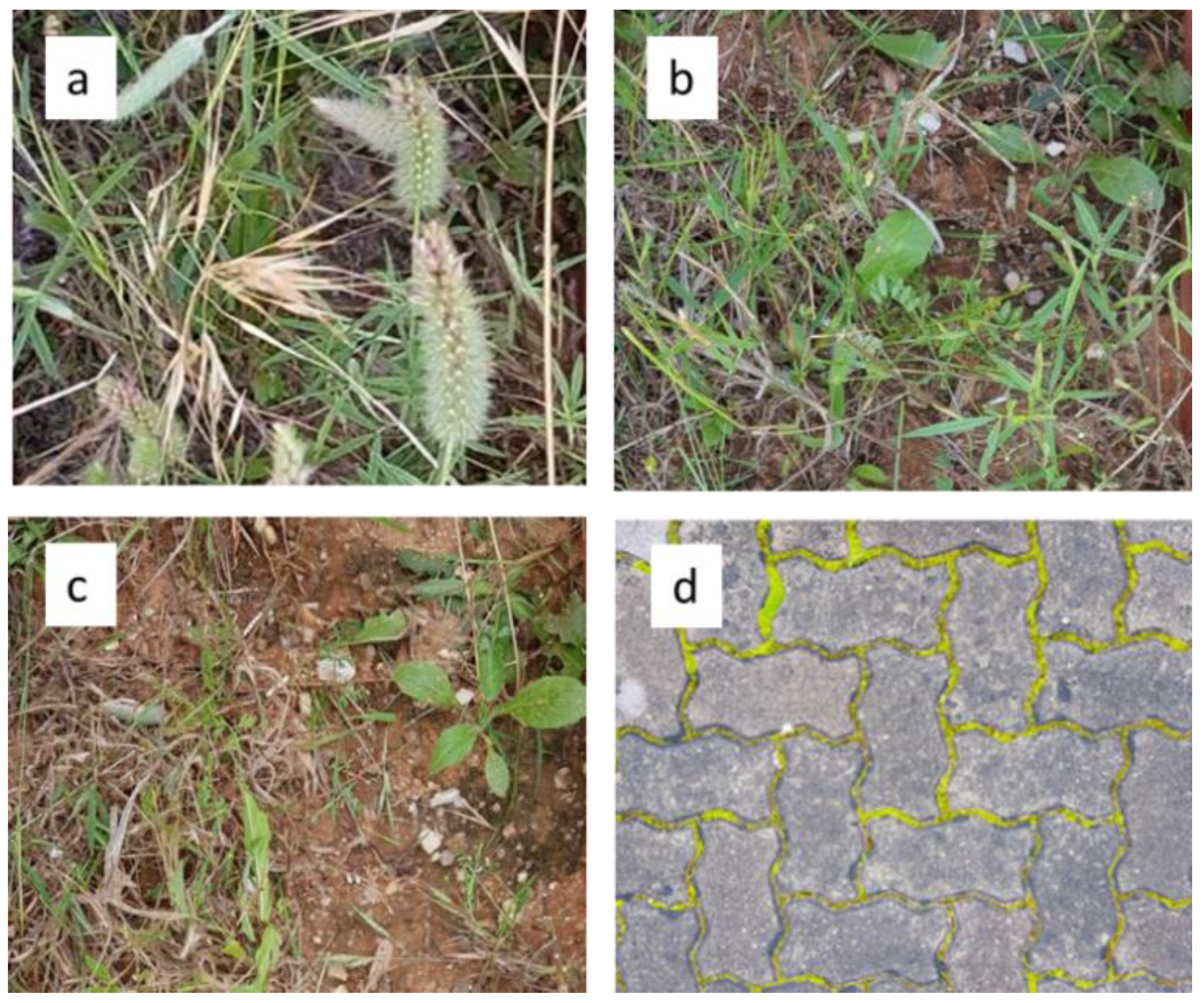 Agronomy 12 02687 g003 Agronomy 12 02687 g003