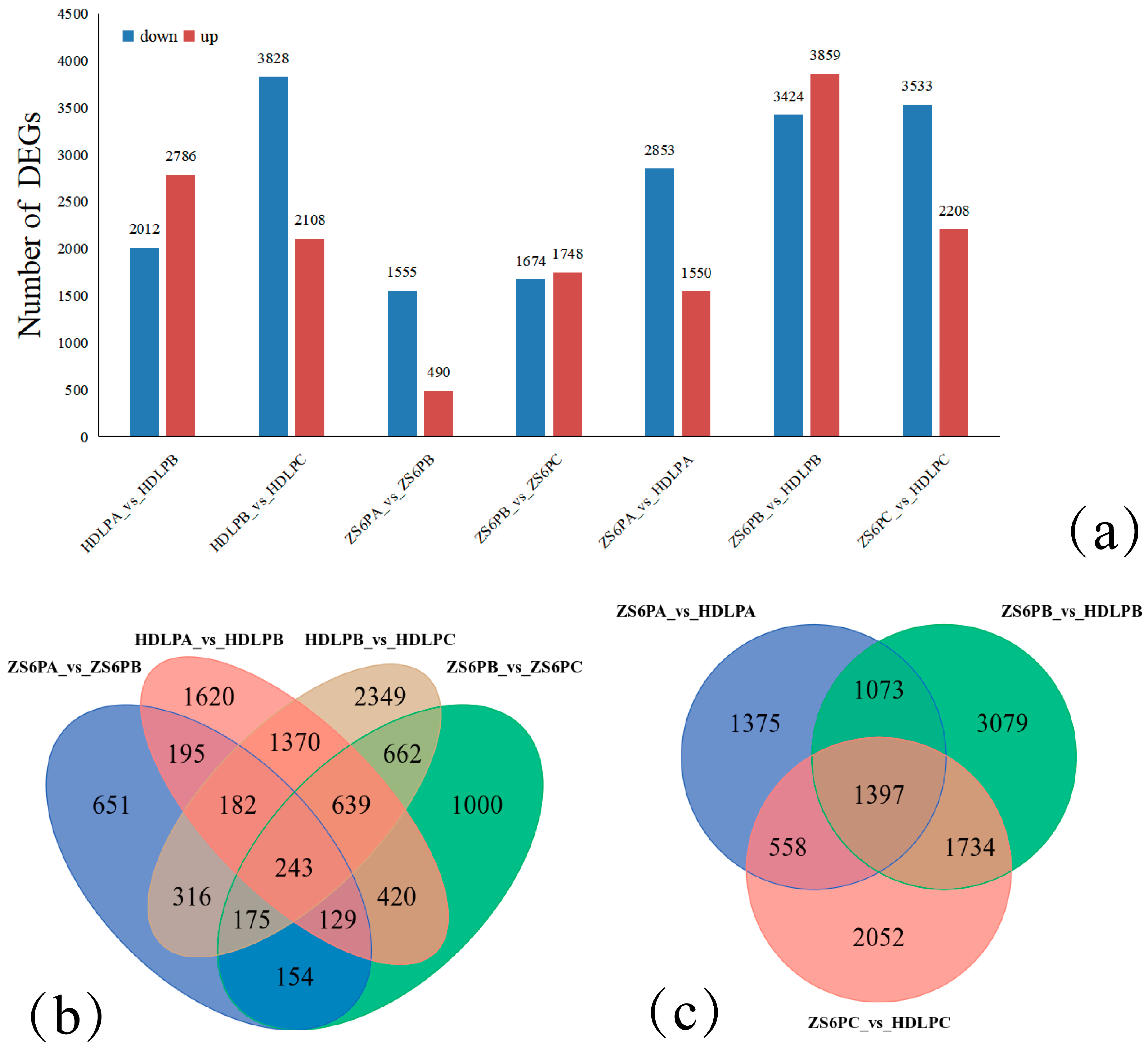 Agronomy 12 02688 g004
