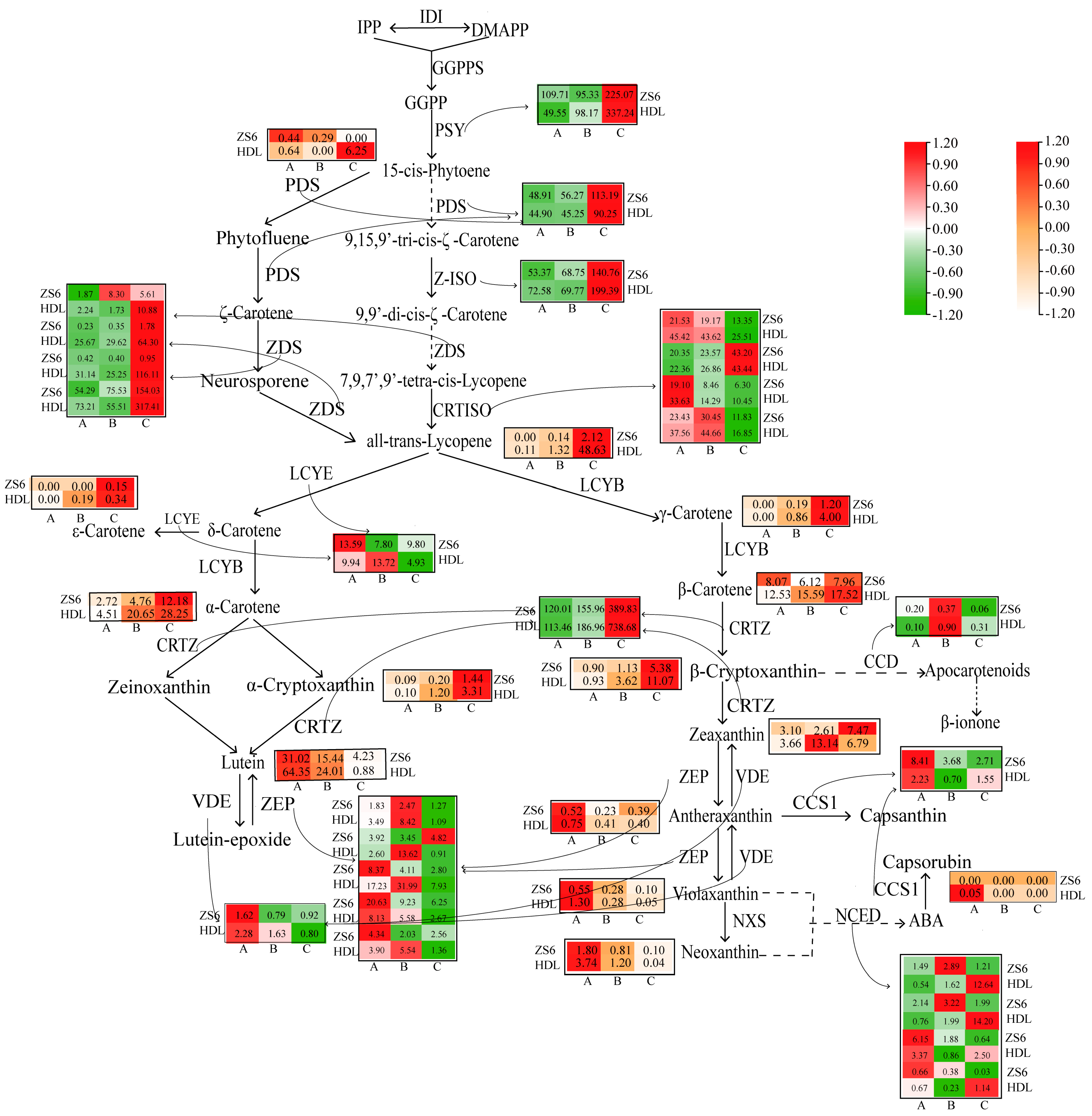 Agronomy 12 02688 g007