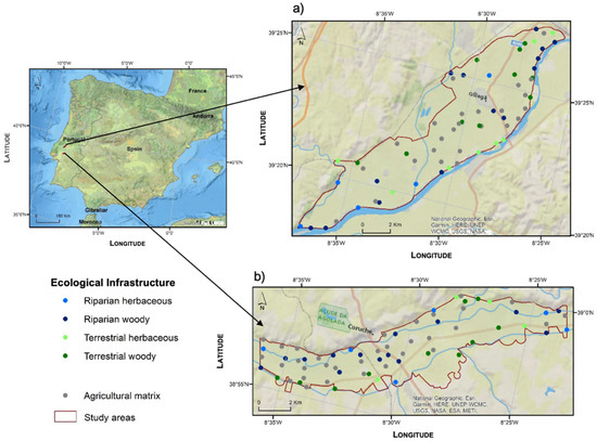 Strata: UNEP's Earth Stress Monitor, Blog