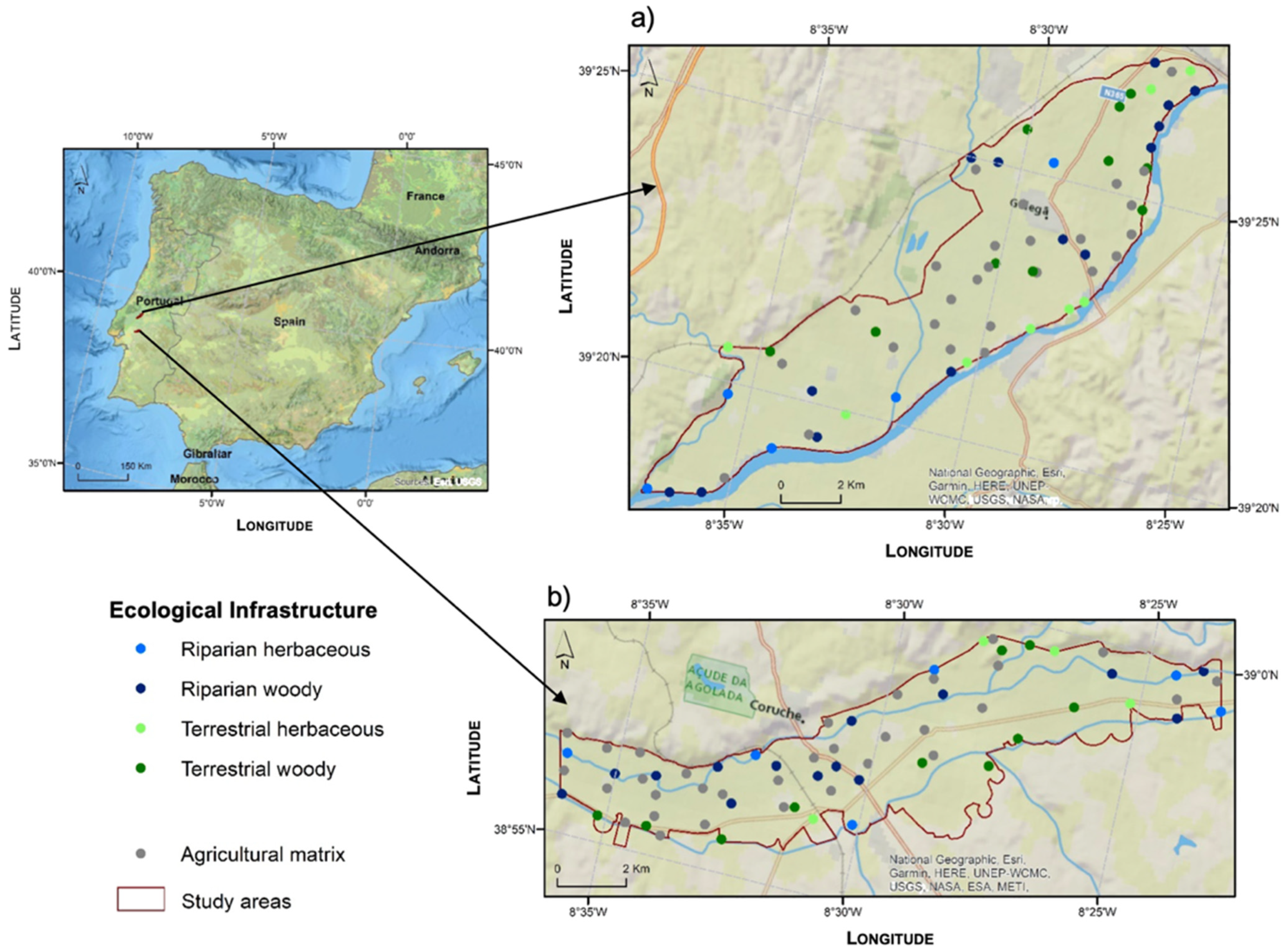 Agronomy 12 02690 g001 Agronomy 12 02690 g001
