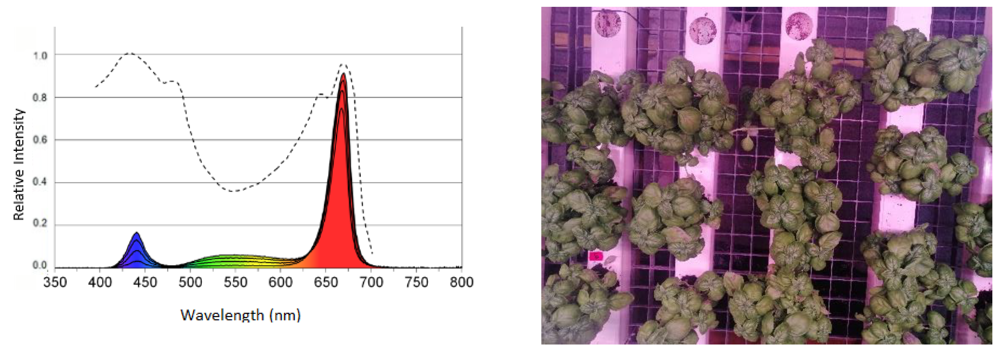 Agronomy 12 02691 g002