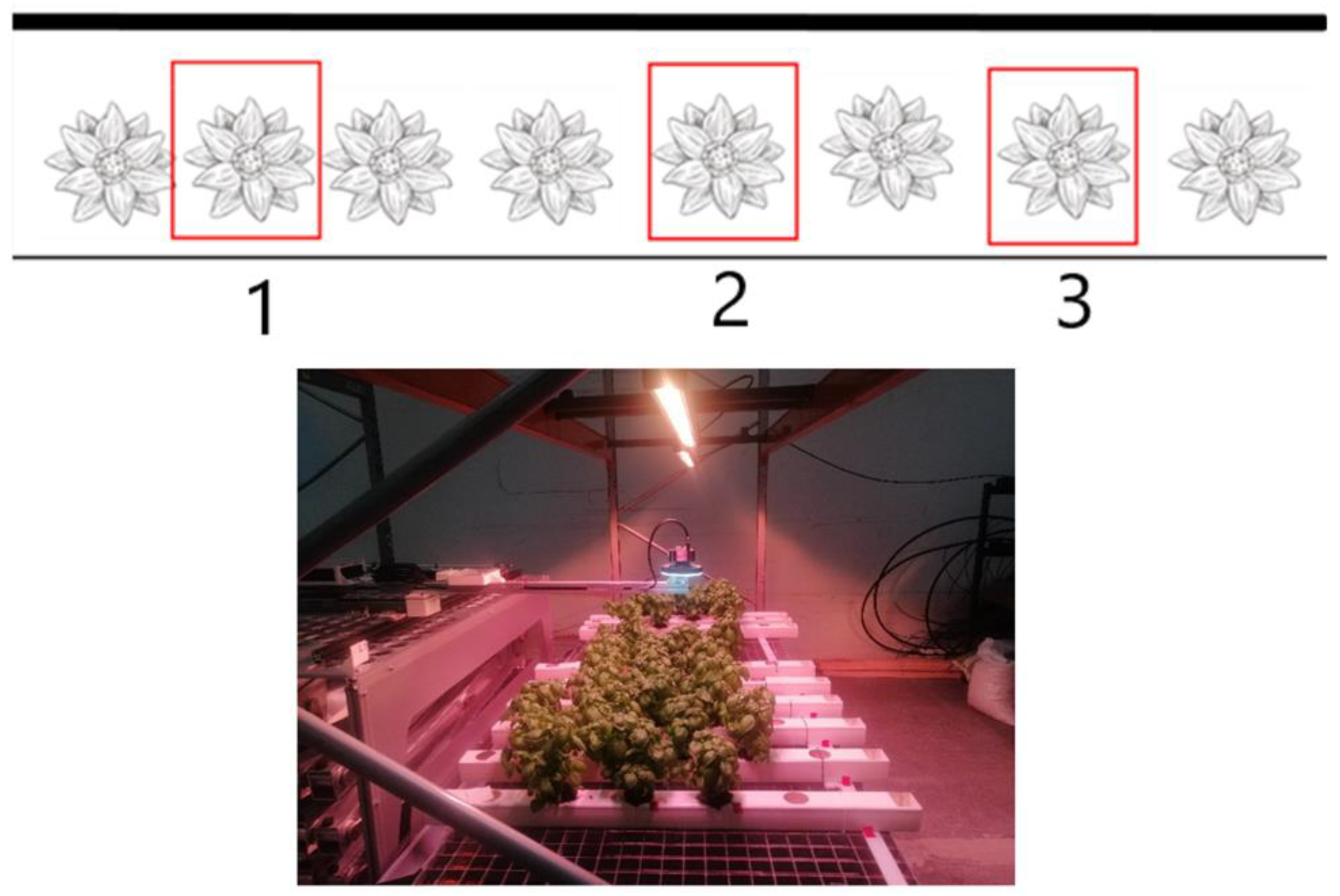 Agronomy 12 02691 g003