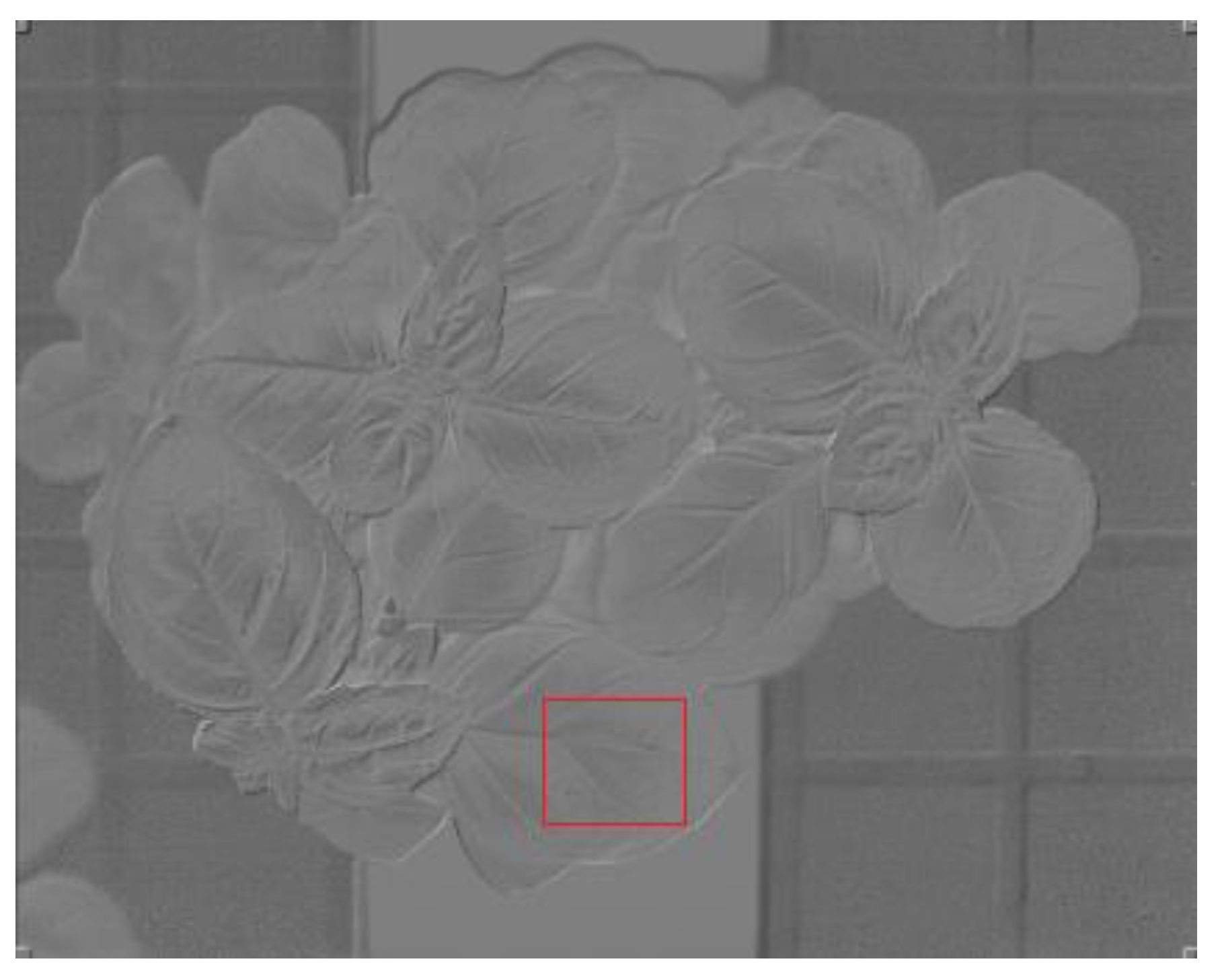 Agronomy 12 02691 g004