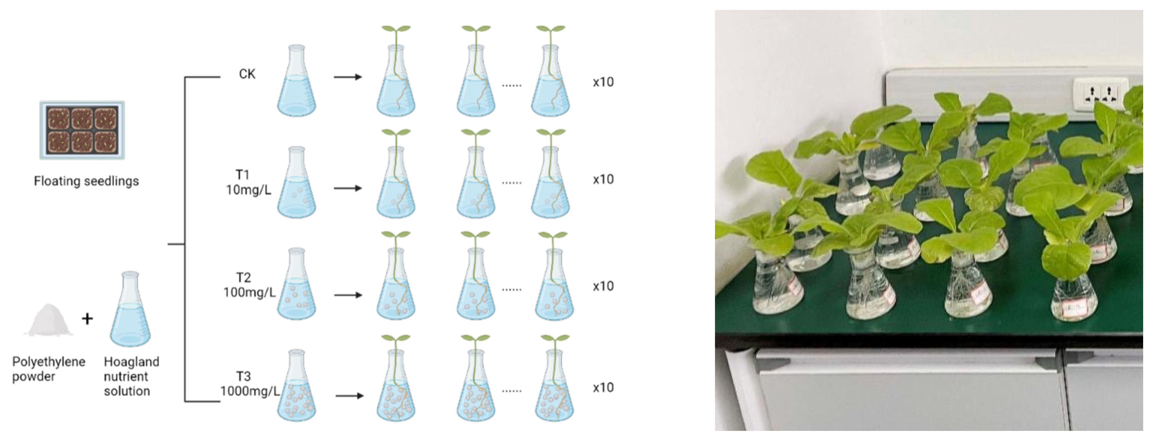 Agronomy 12 02692 g001 Agronomy 12 02692 g001