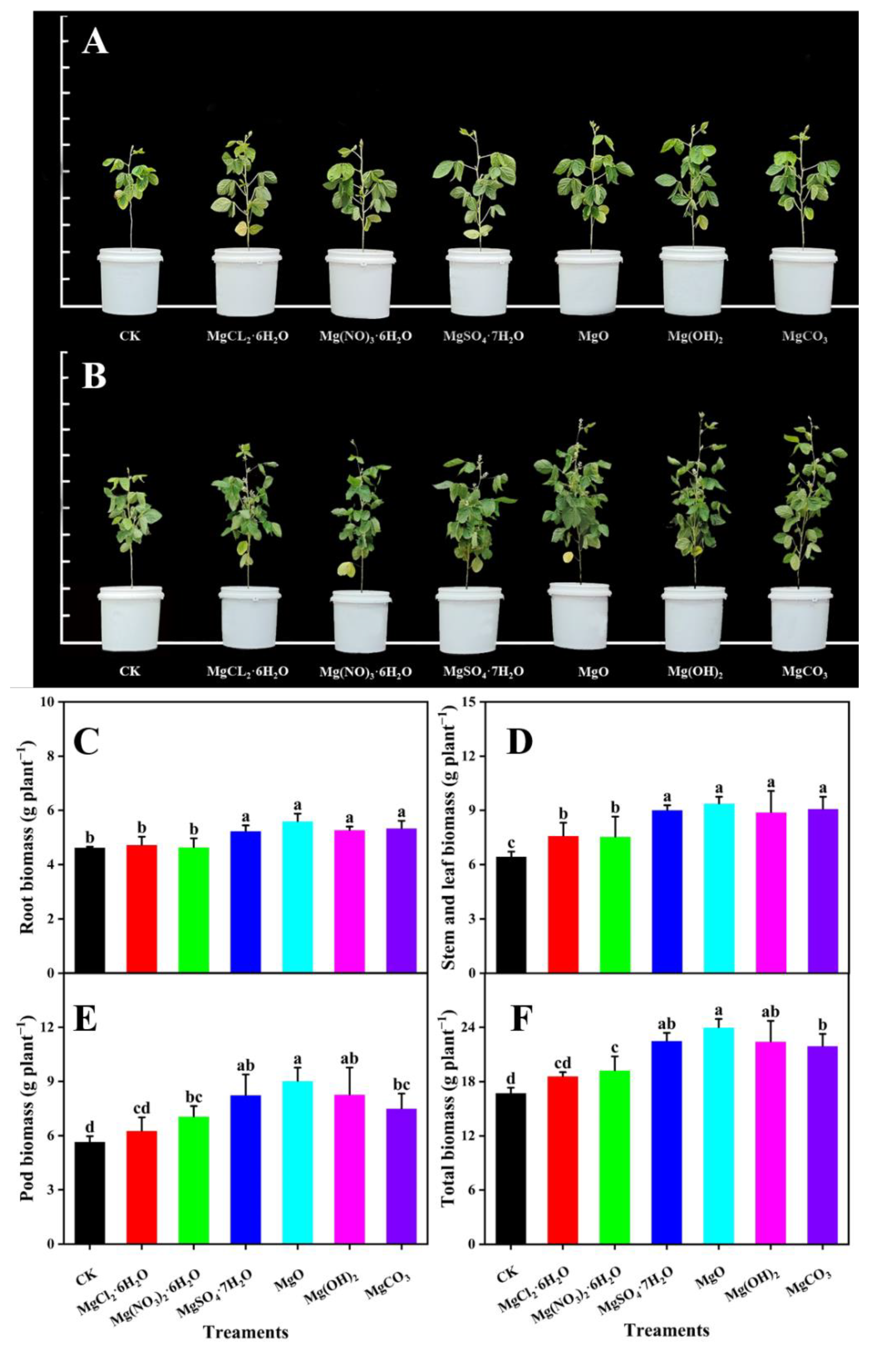 Agronomy 12 02693 g004