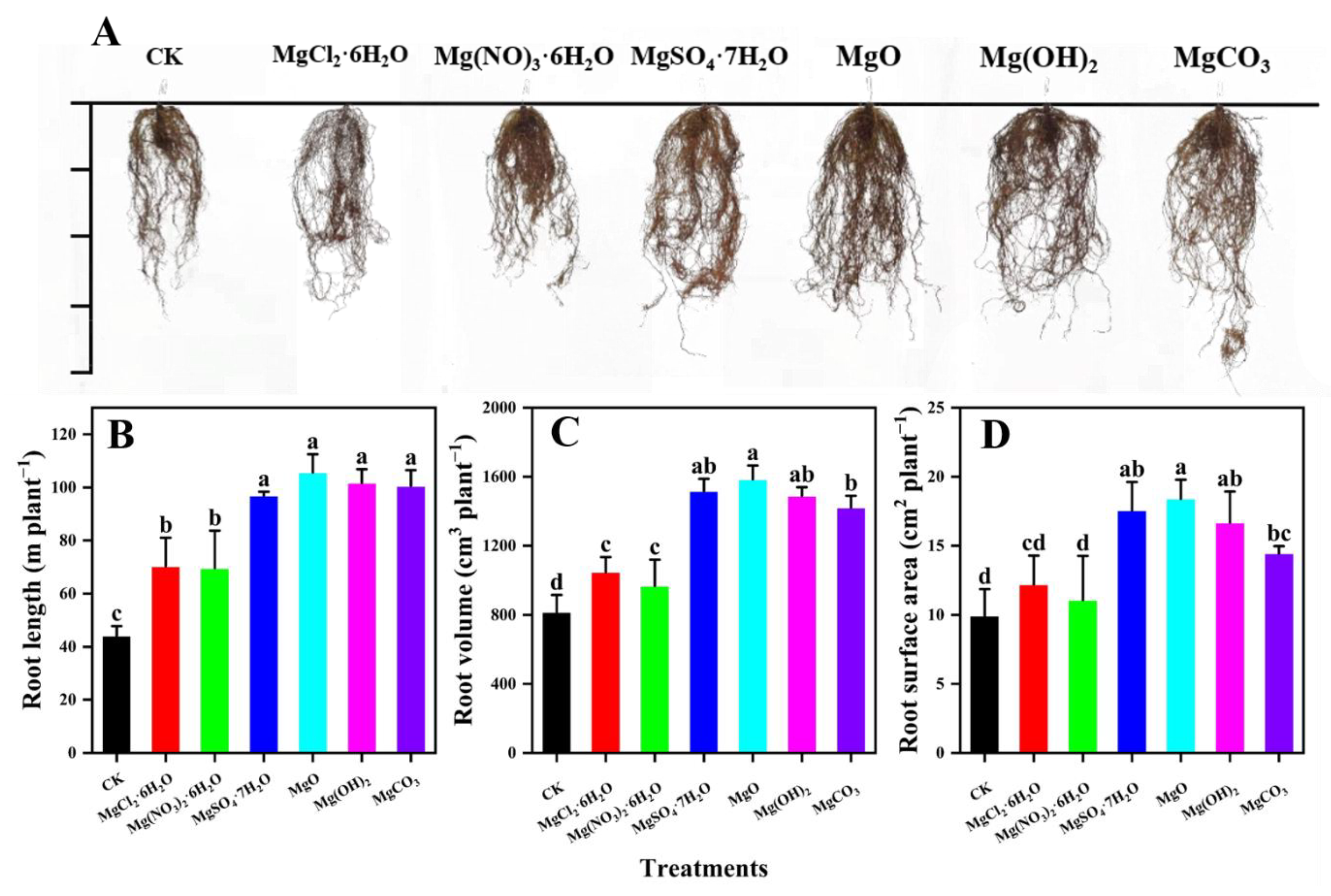 Agronomy 12 02693 g005