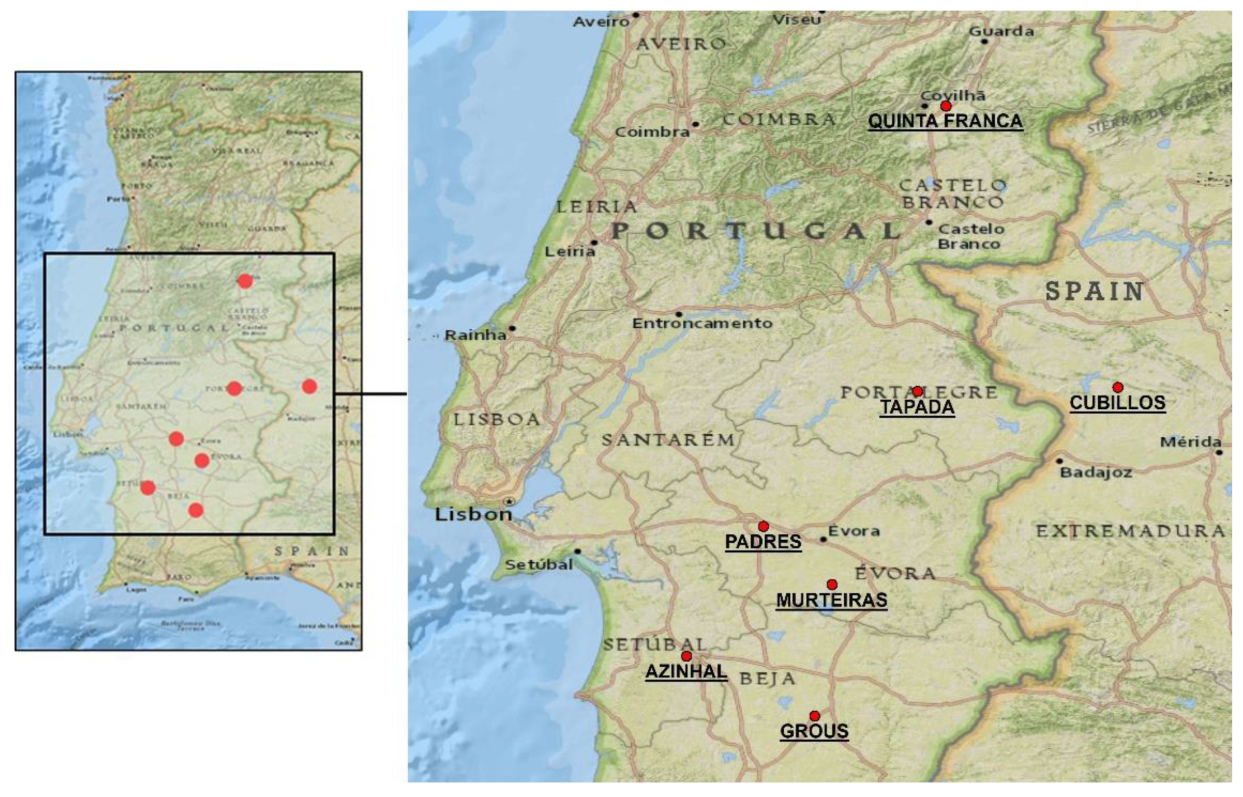 Agronomy 12 02711 g001 Agronomy 12 02711 g001