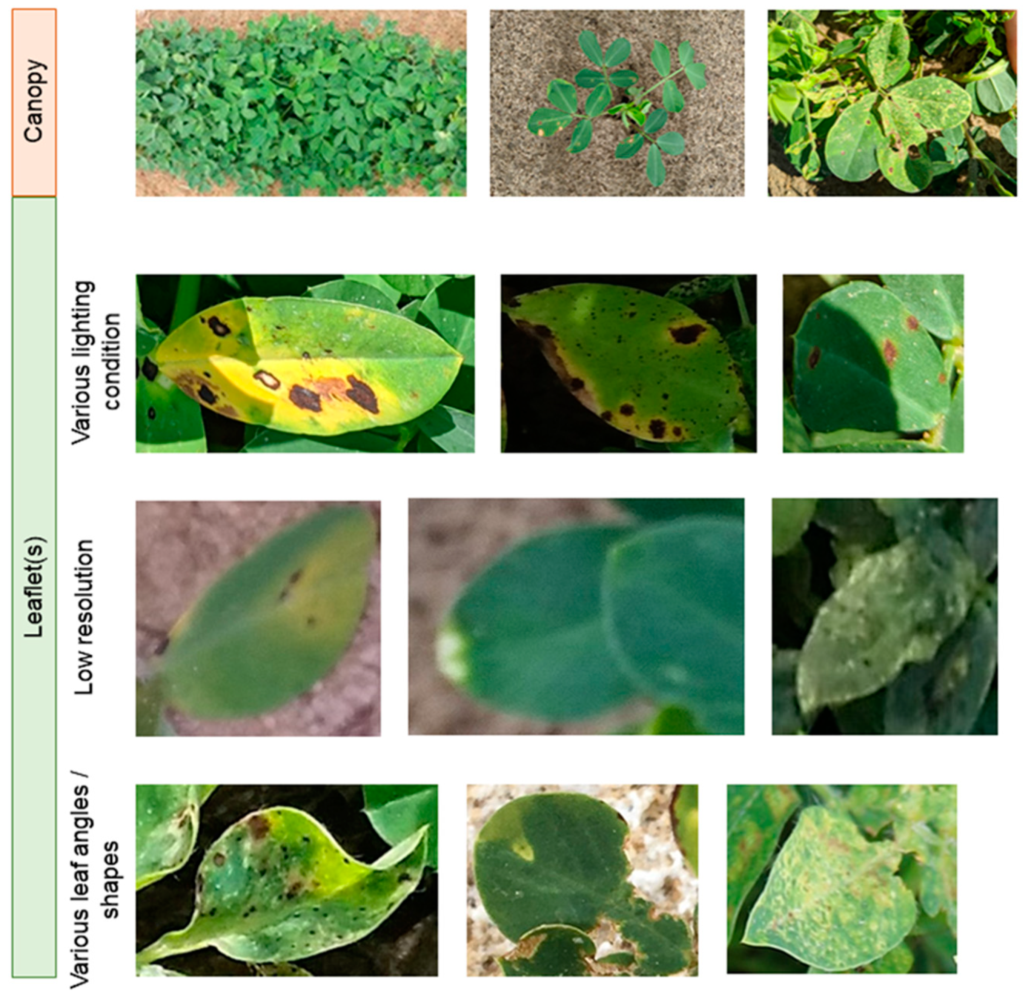 Agronomy 12 02712 g001