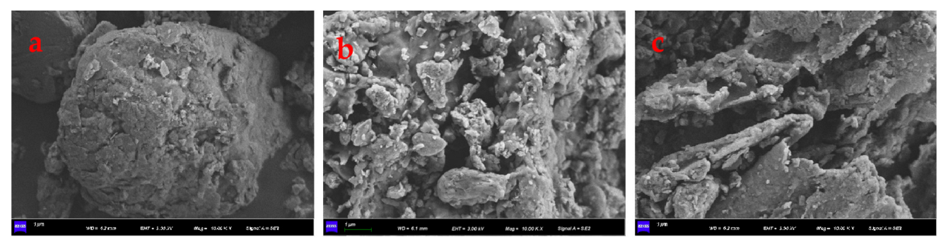 Agronomy 12 02716 g002