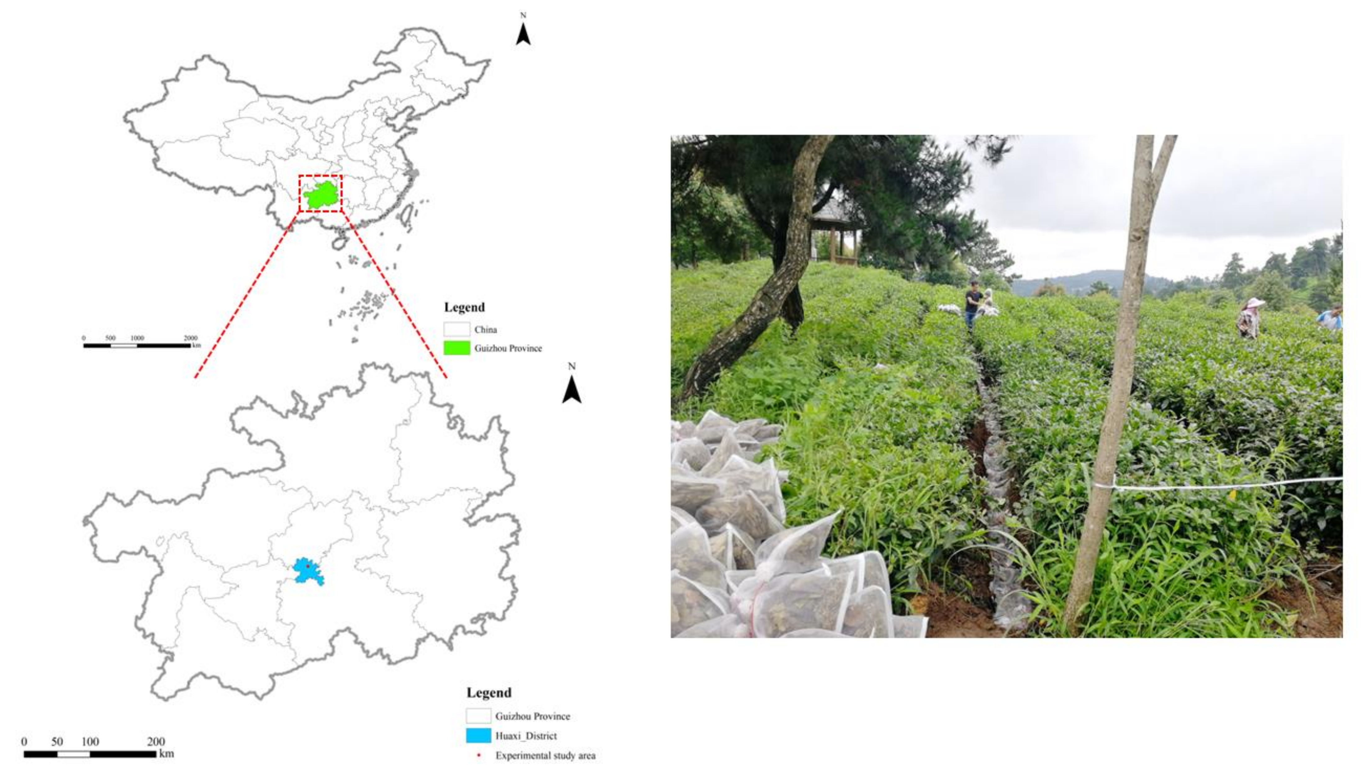 Agronomy 12 02717 g001