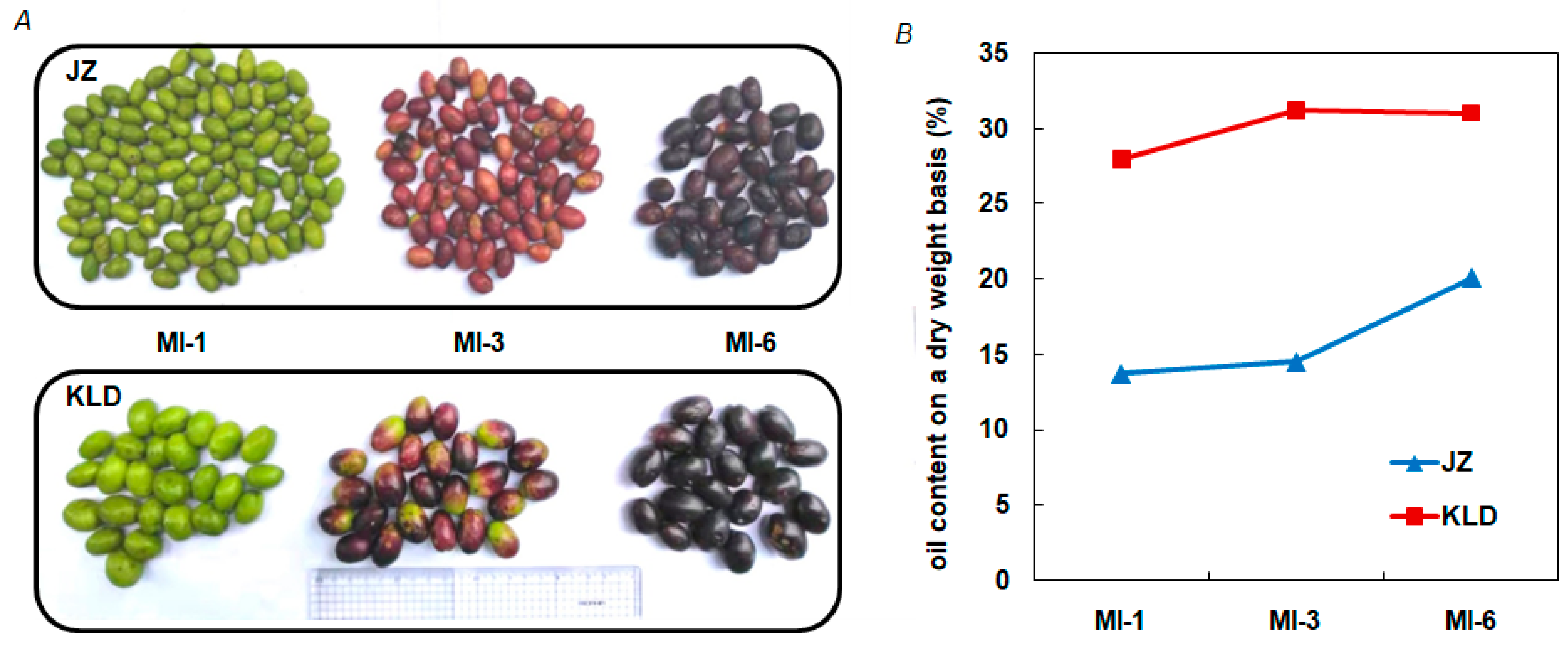 Agronomy 12 02718 g001 Agronomy 12 02718 g001