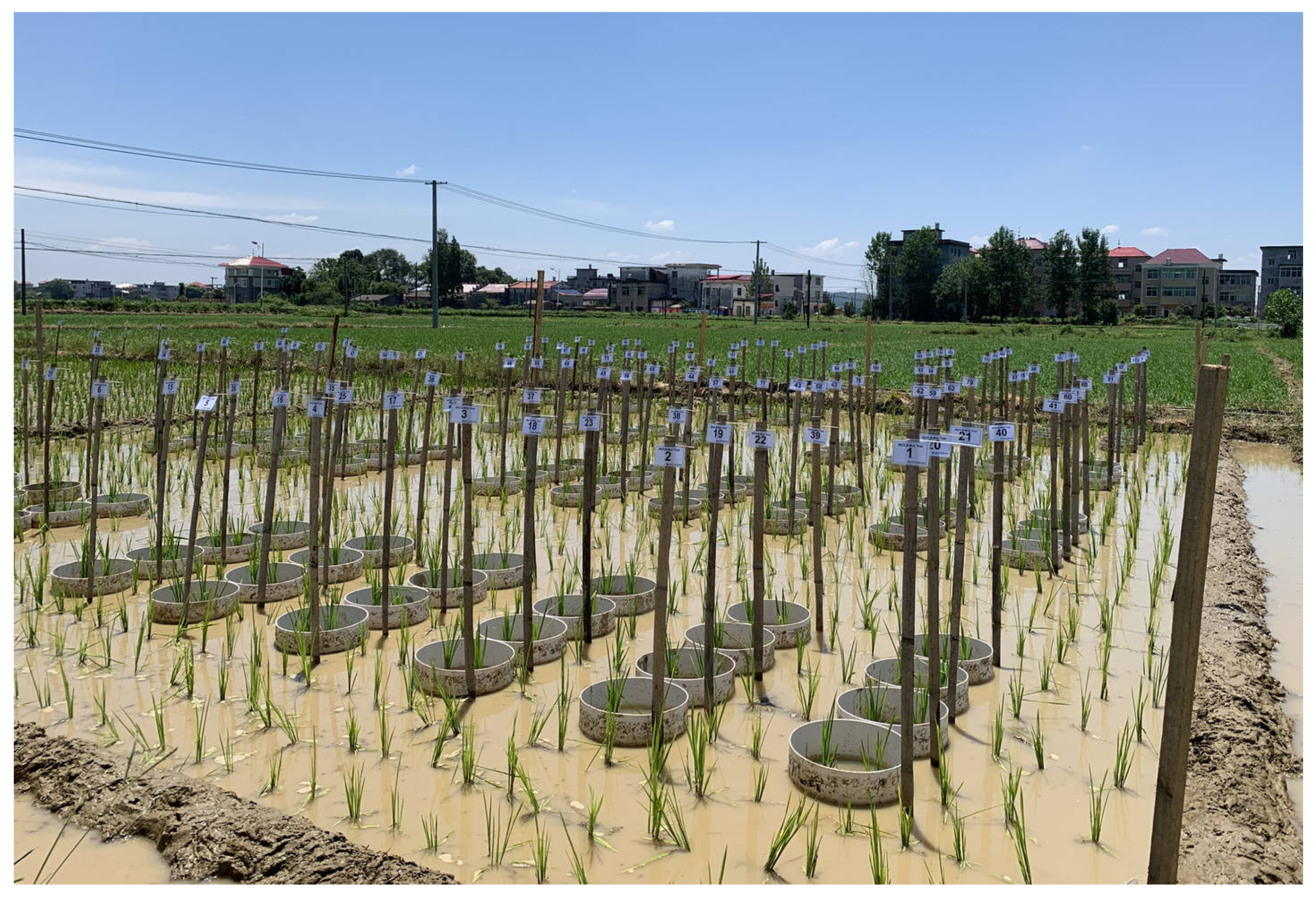 Agronomy 12 02719 g002 Agronomy 12 02719 g002