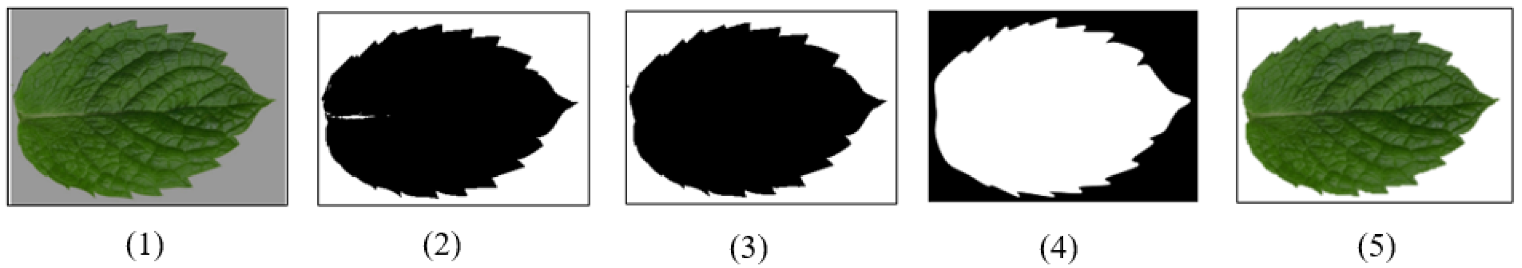 Agronomy 12 02723 g001