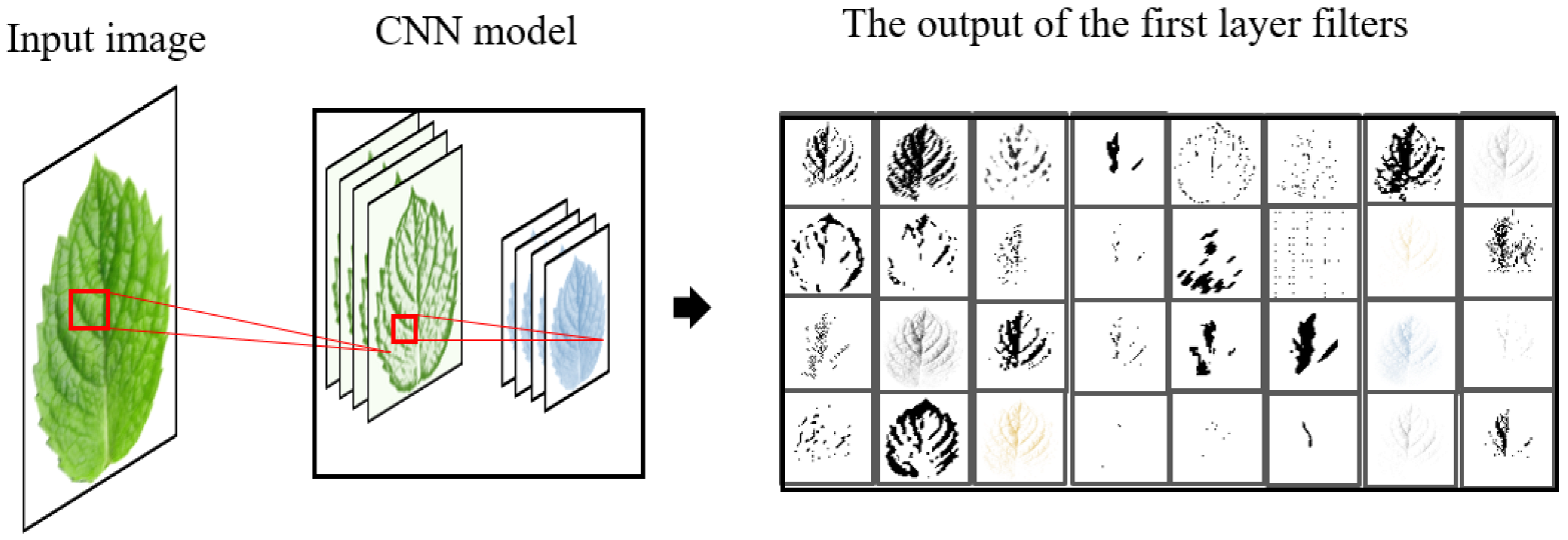 Agronomy 12 02723 g008
