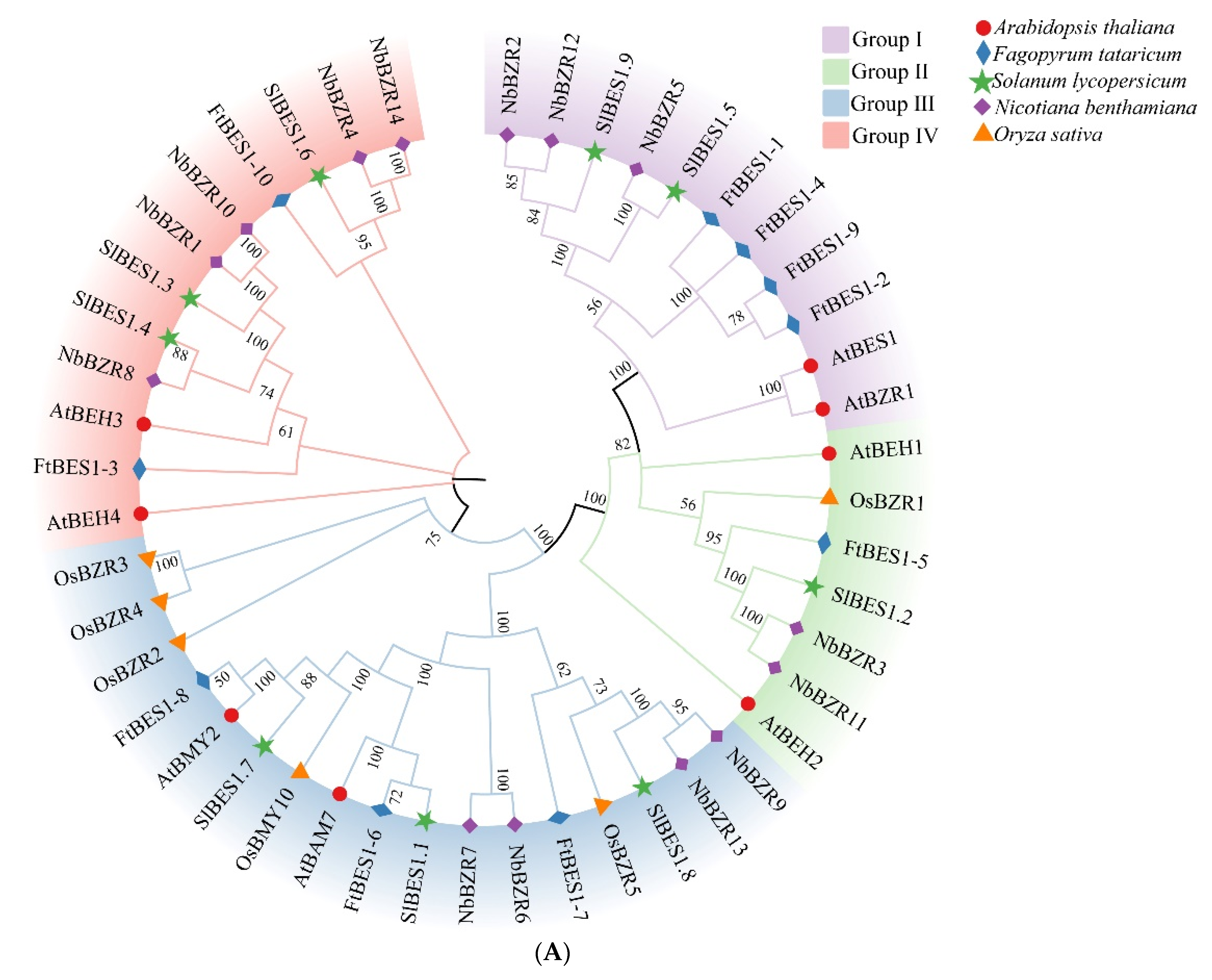 Agronomy 12 02729 g001a