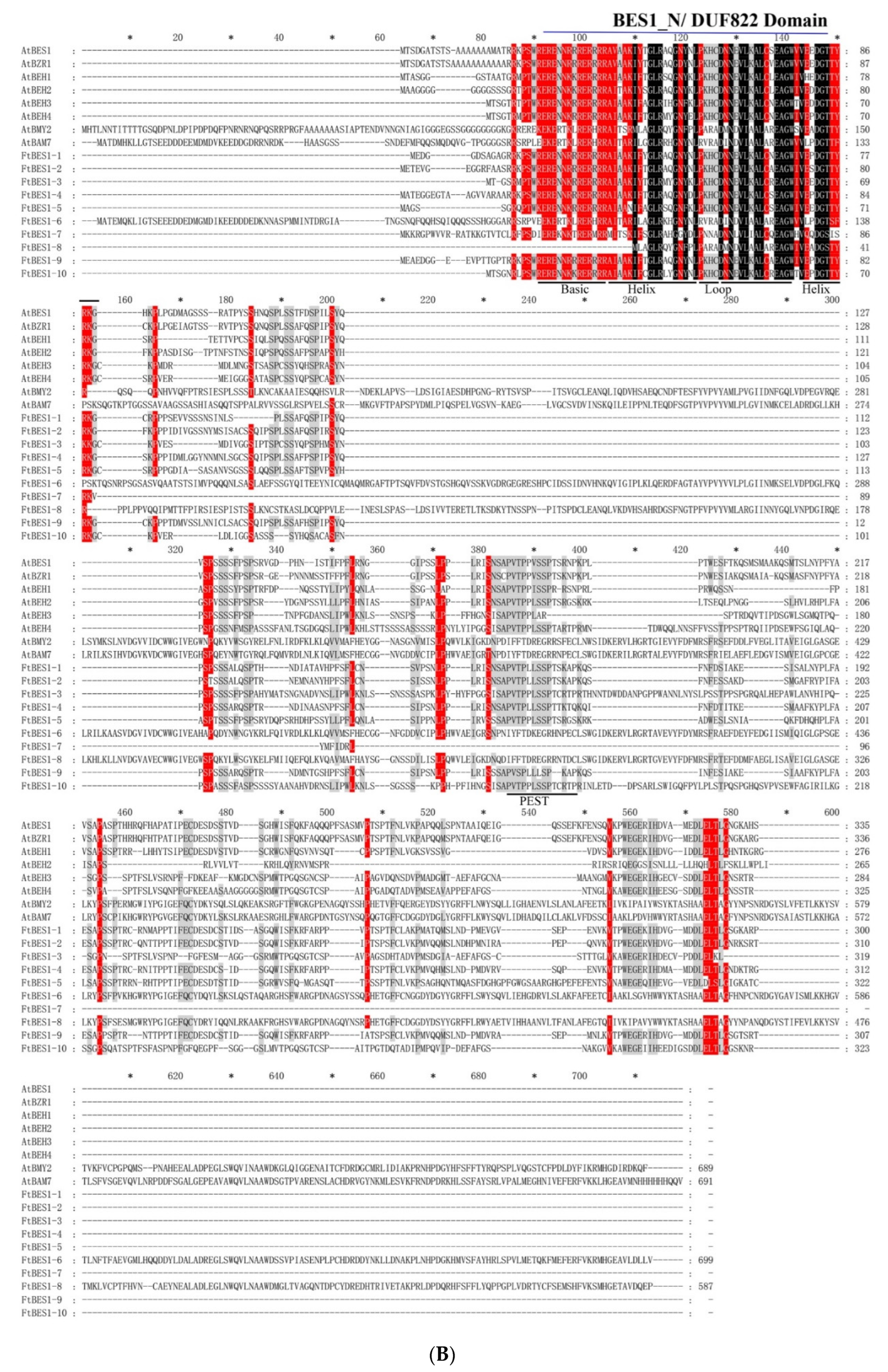 Agronomy 12 02729 g001b