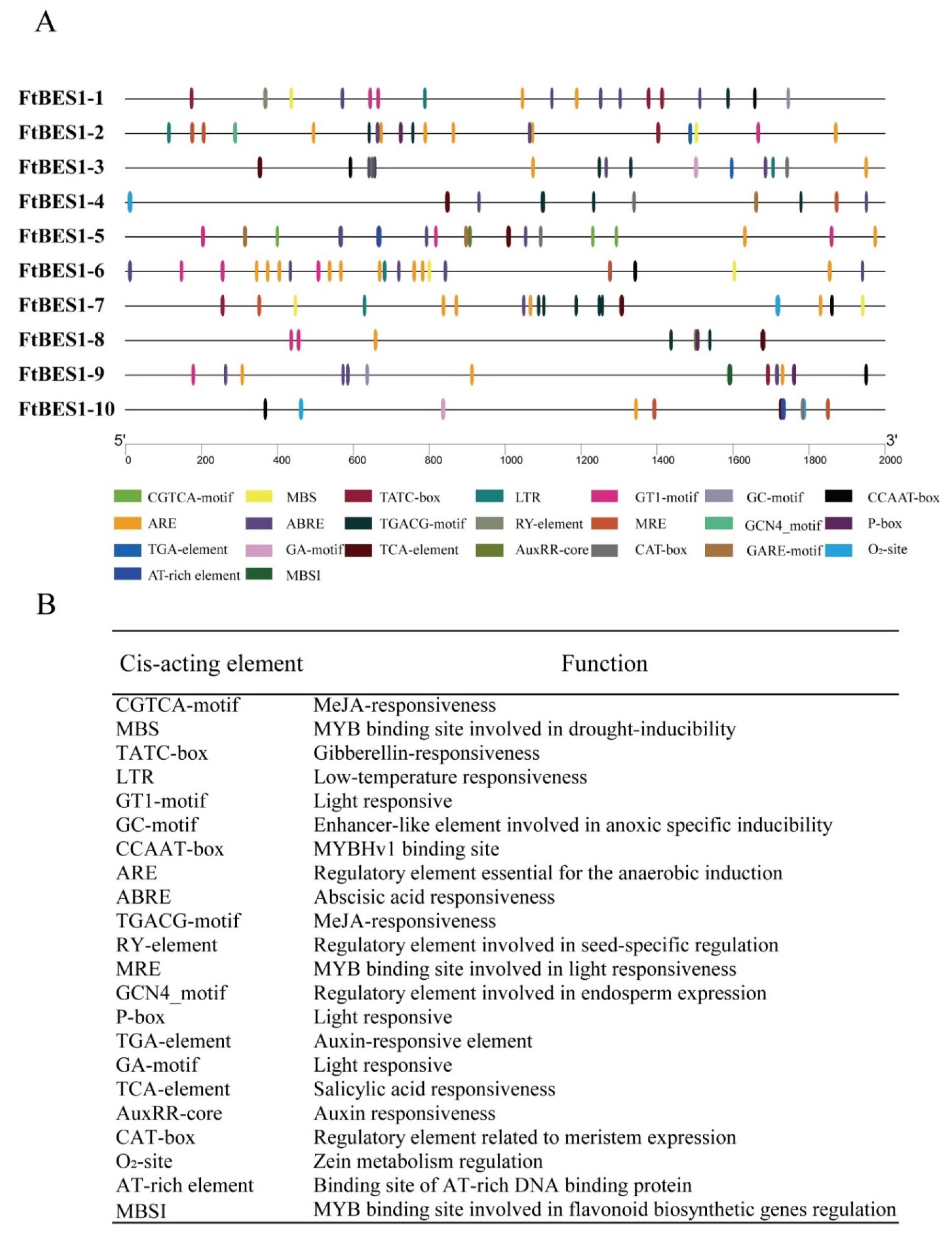 Agronomy 12 02729 g003