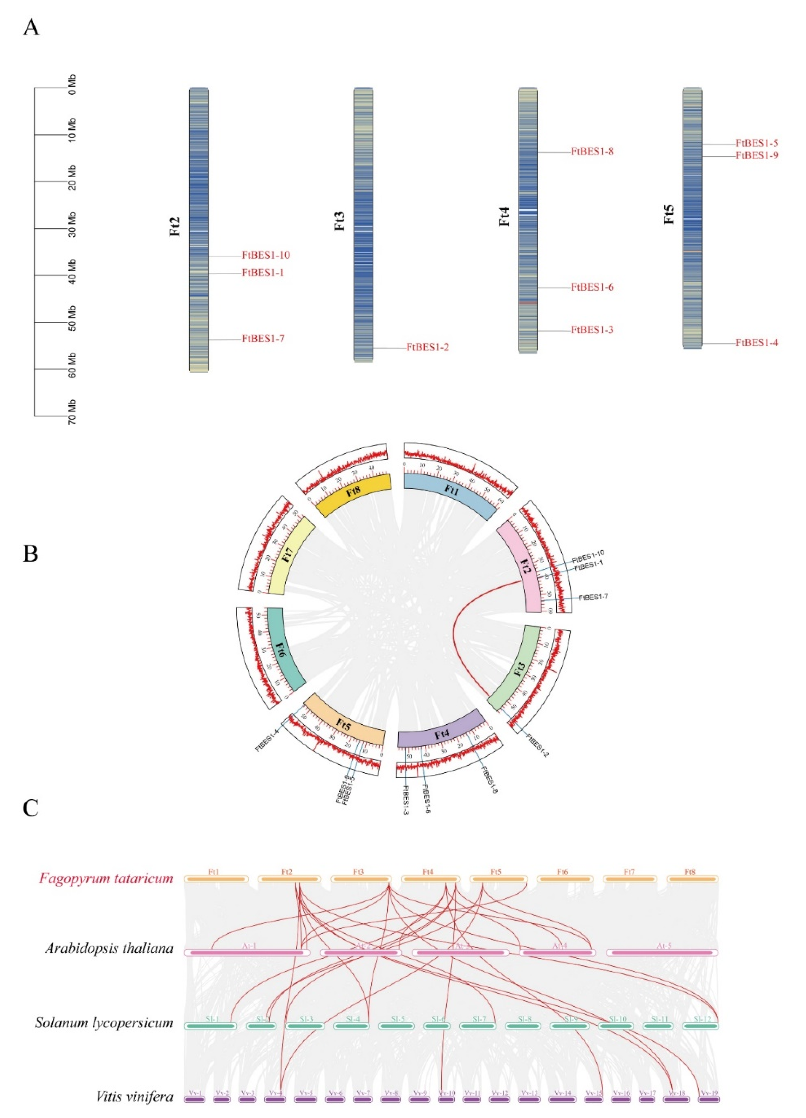 Agronomy 12 02729 g004