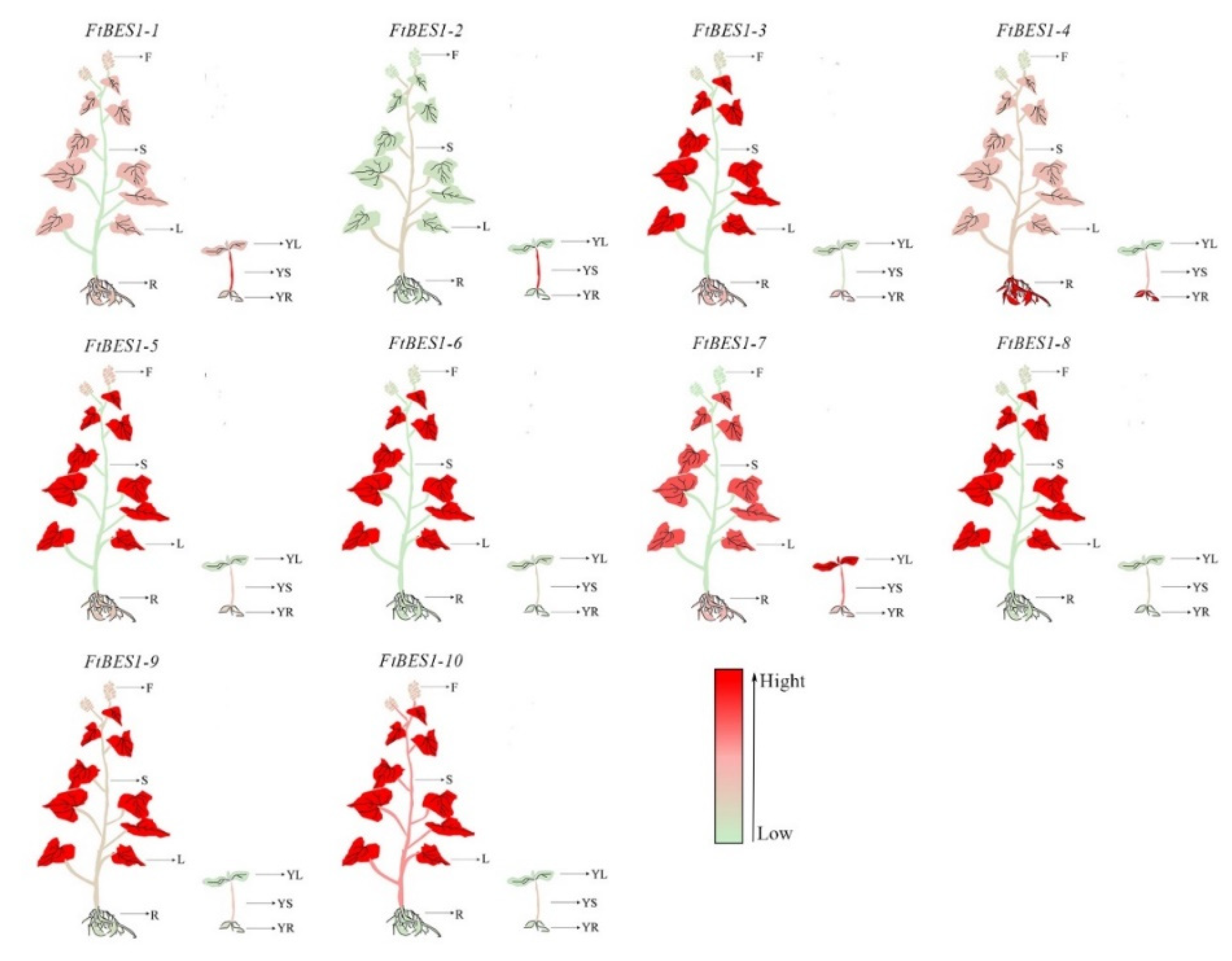 Agronomy 12 02729 g005