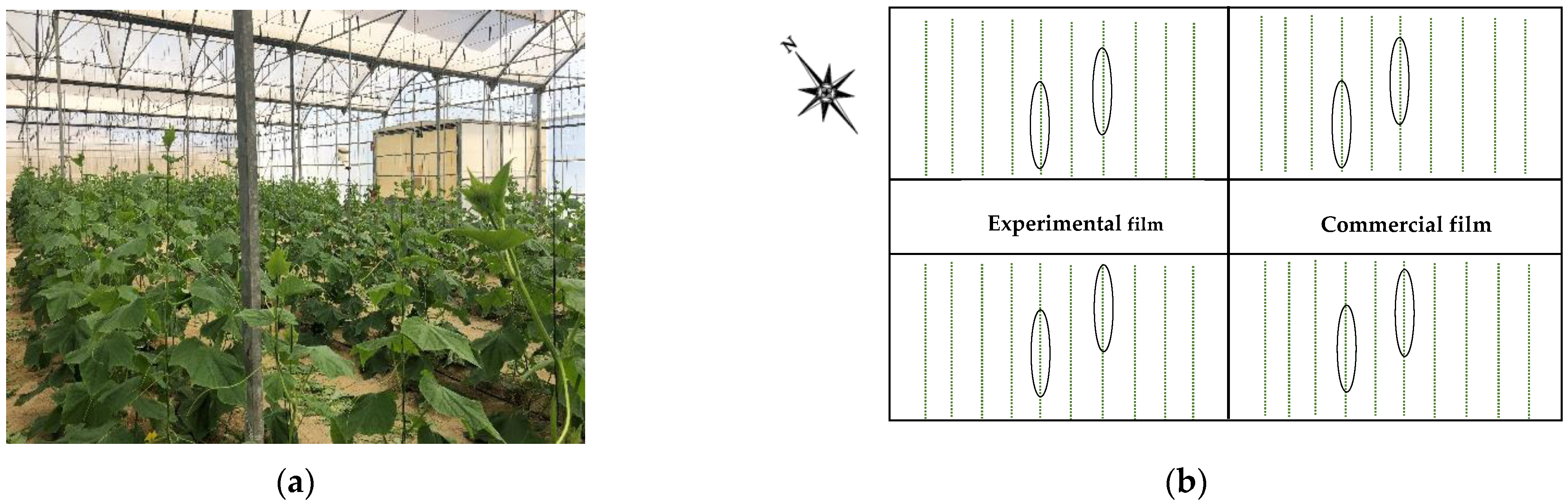 Agronomy 12 02743 g001 Agronomy 12 02743 g001