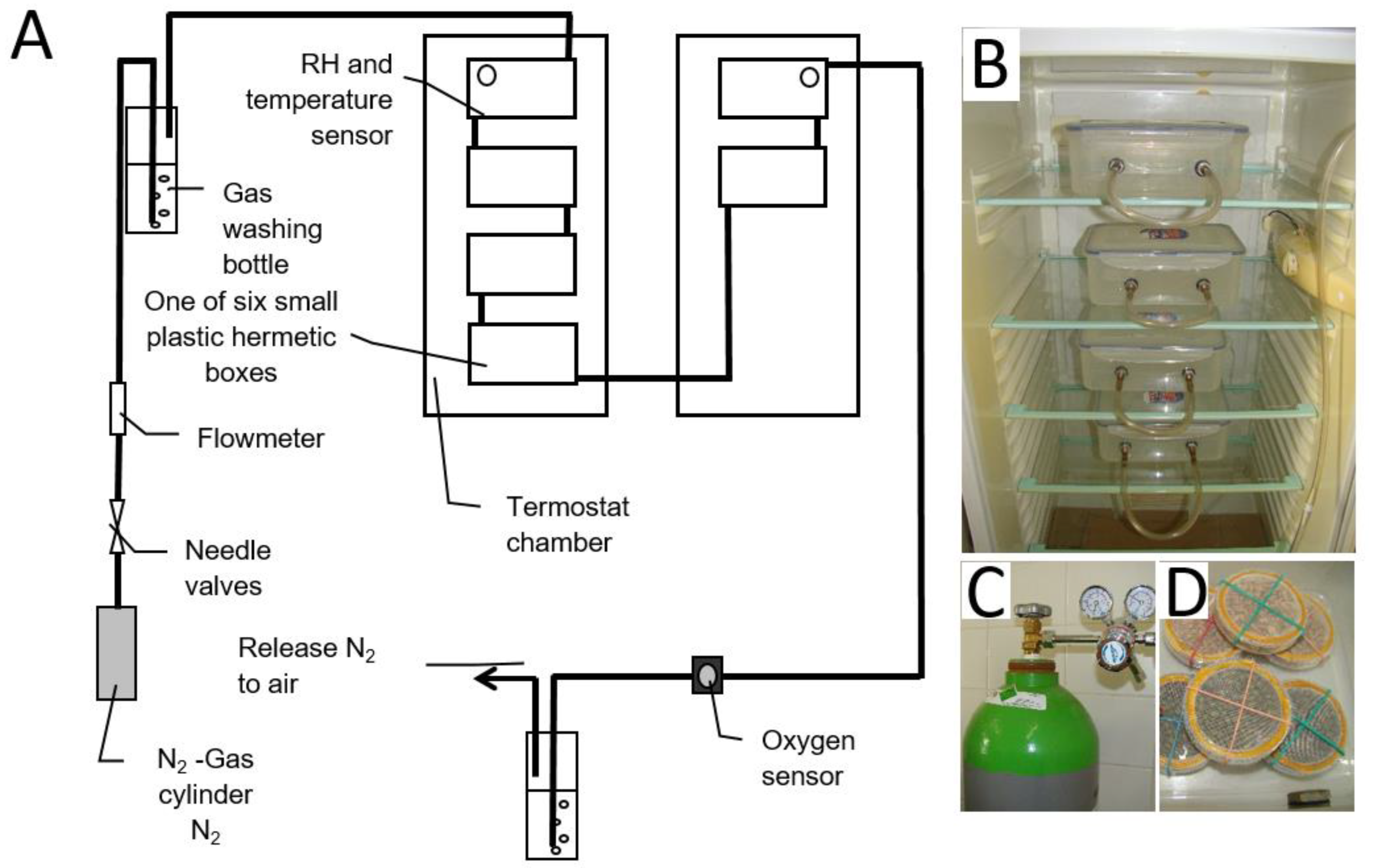 Agronomy 12 02748 g001