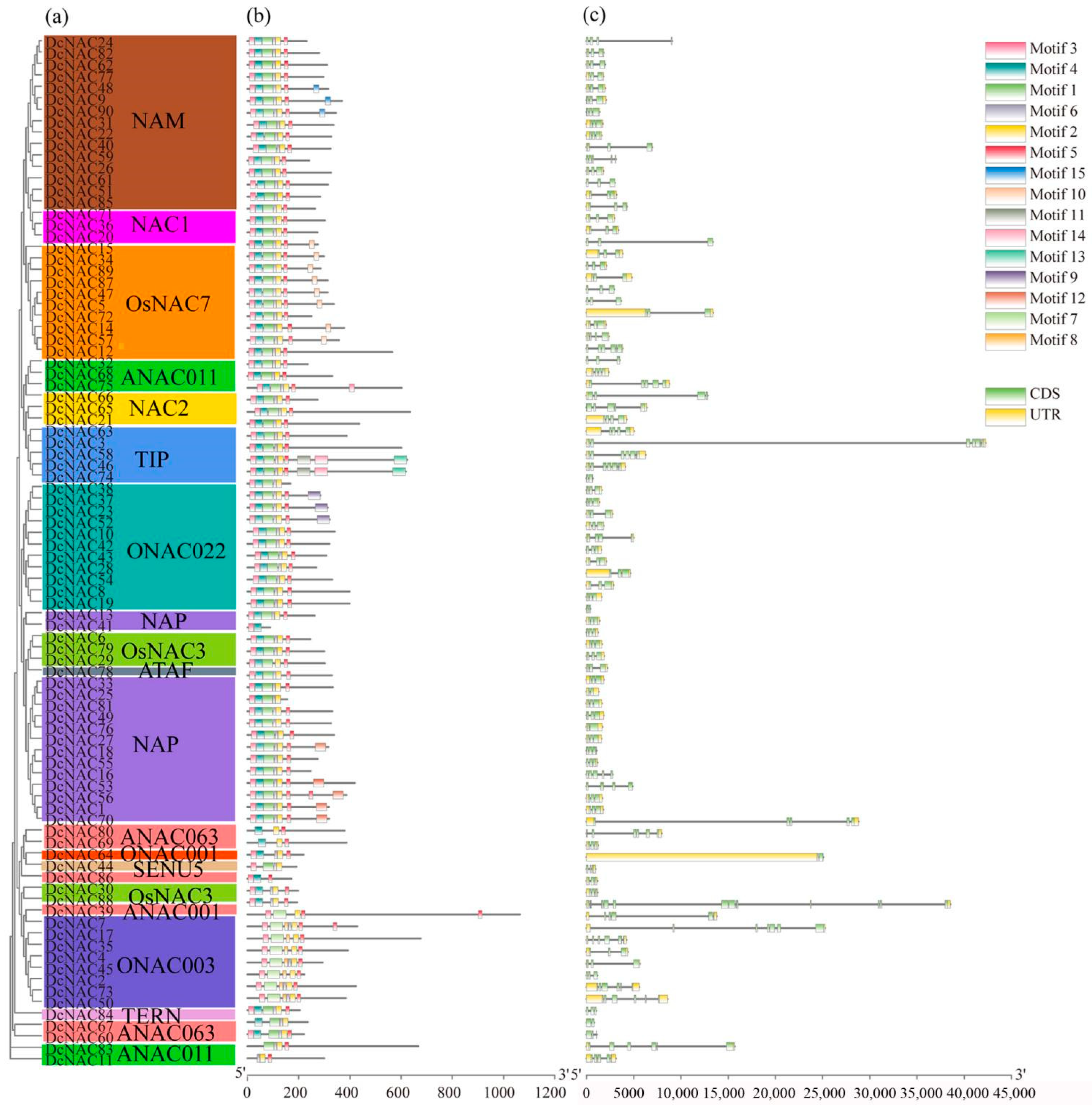 Agronomy 12 02753 g002