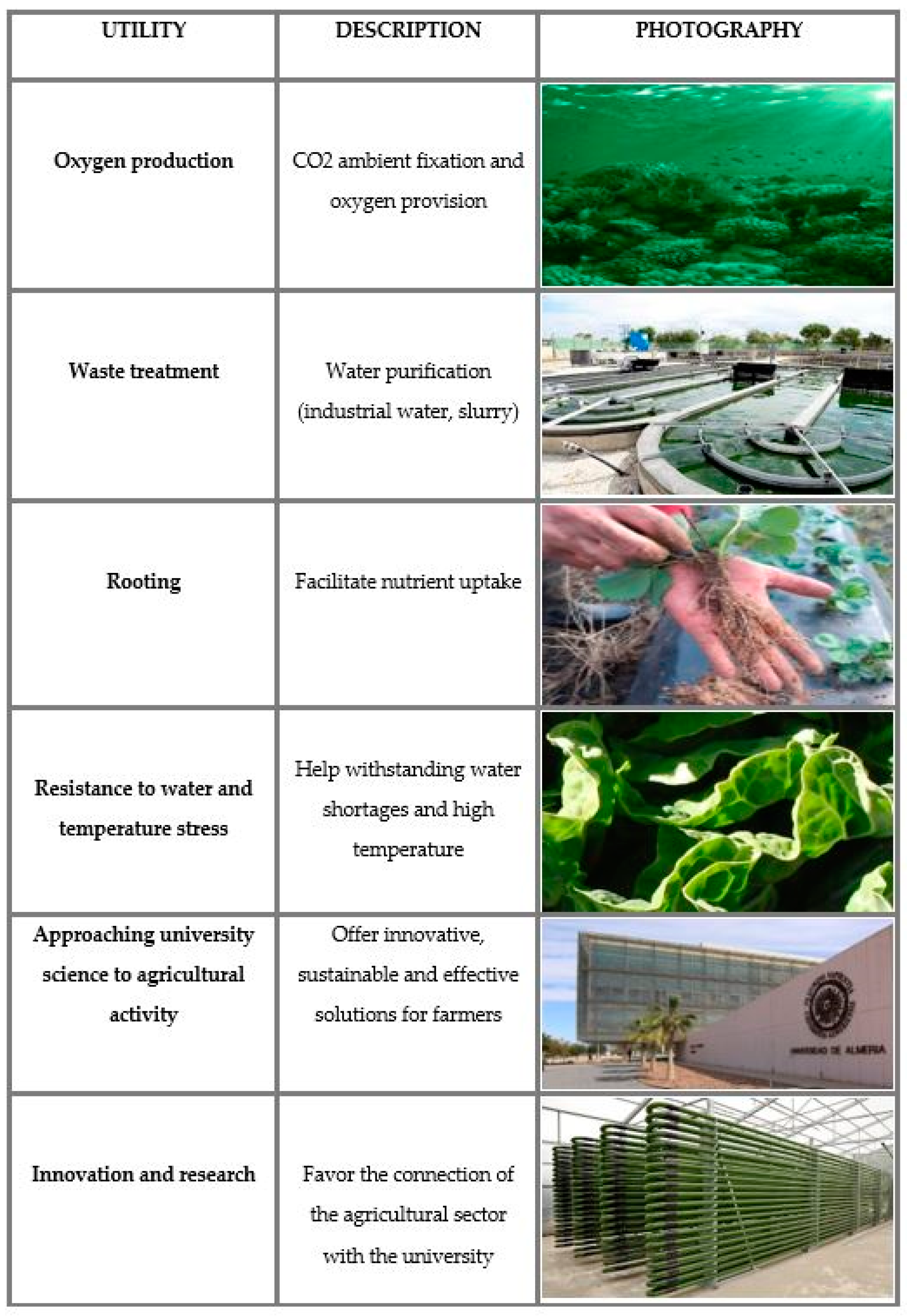 Agronomy 12 02778 g0a1 Agronomy 12 02778 g0a1