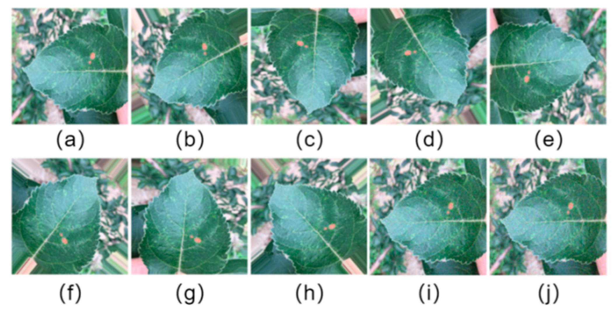 Agronomy 12 02784 g004 Agronomy 12 02784 g004