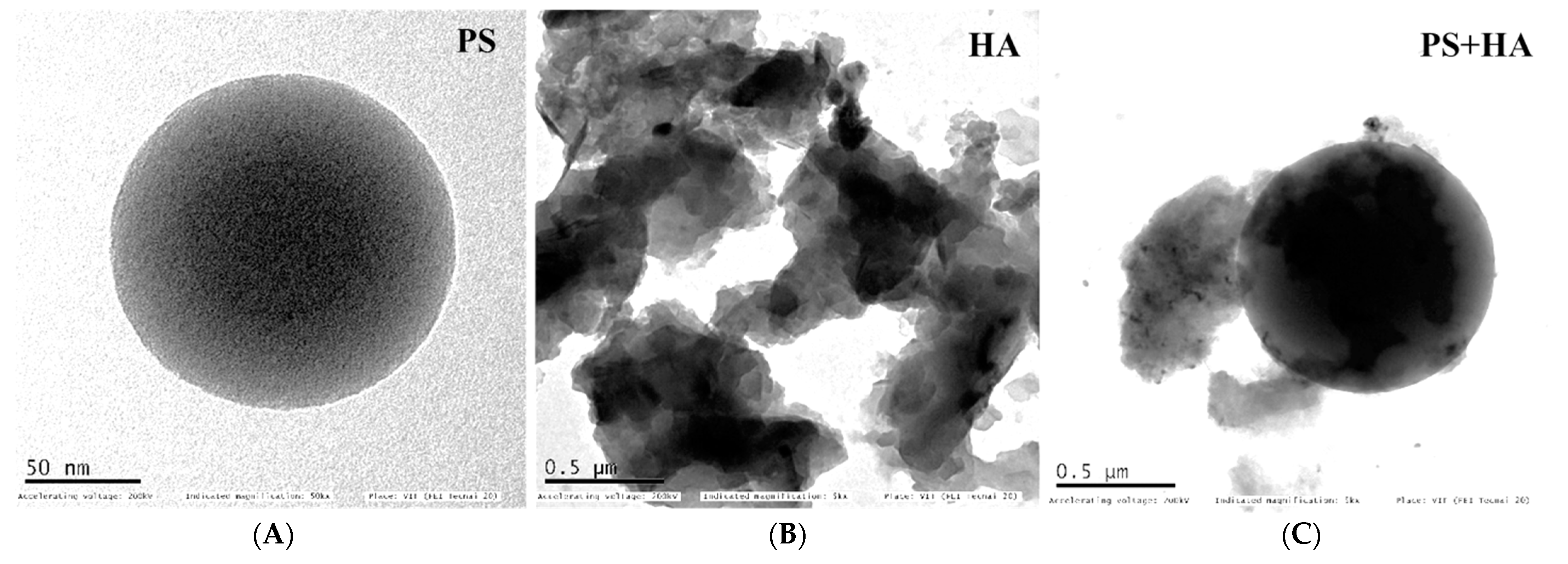 Agronomy 12 02787 g001 Agronomy 12 02787 g001
