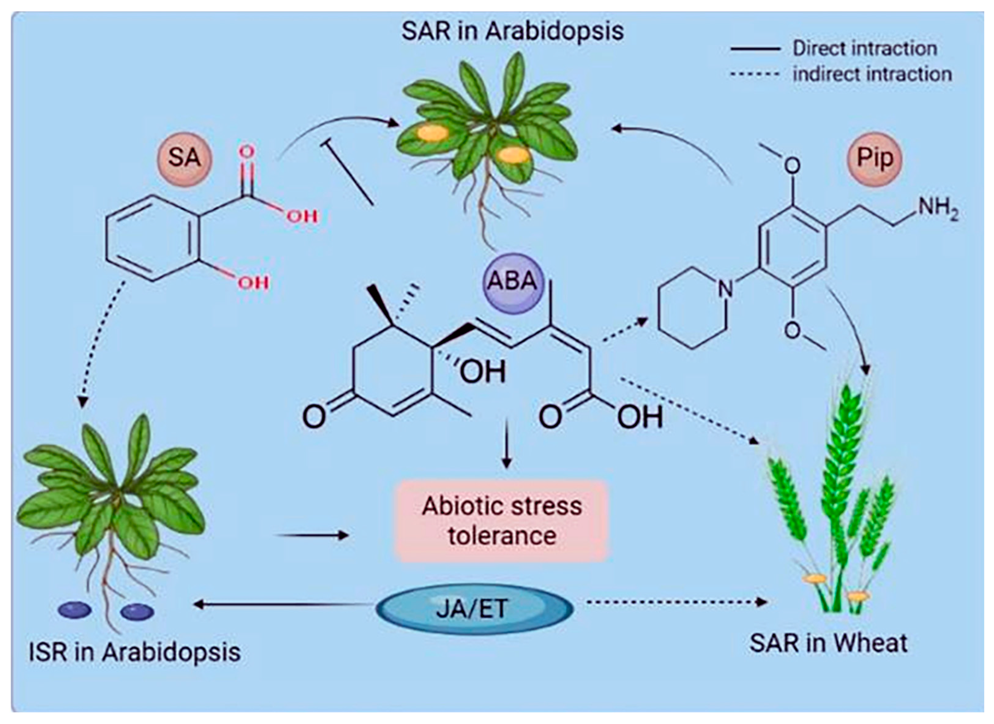 Agronomy 12 02790 g003