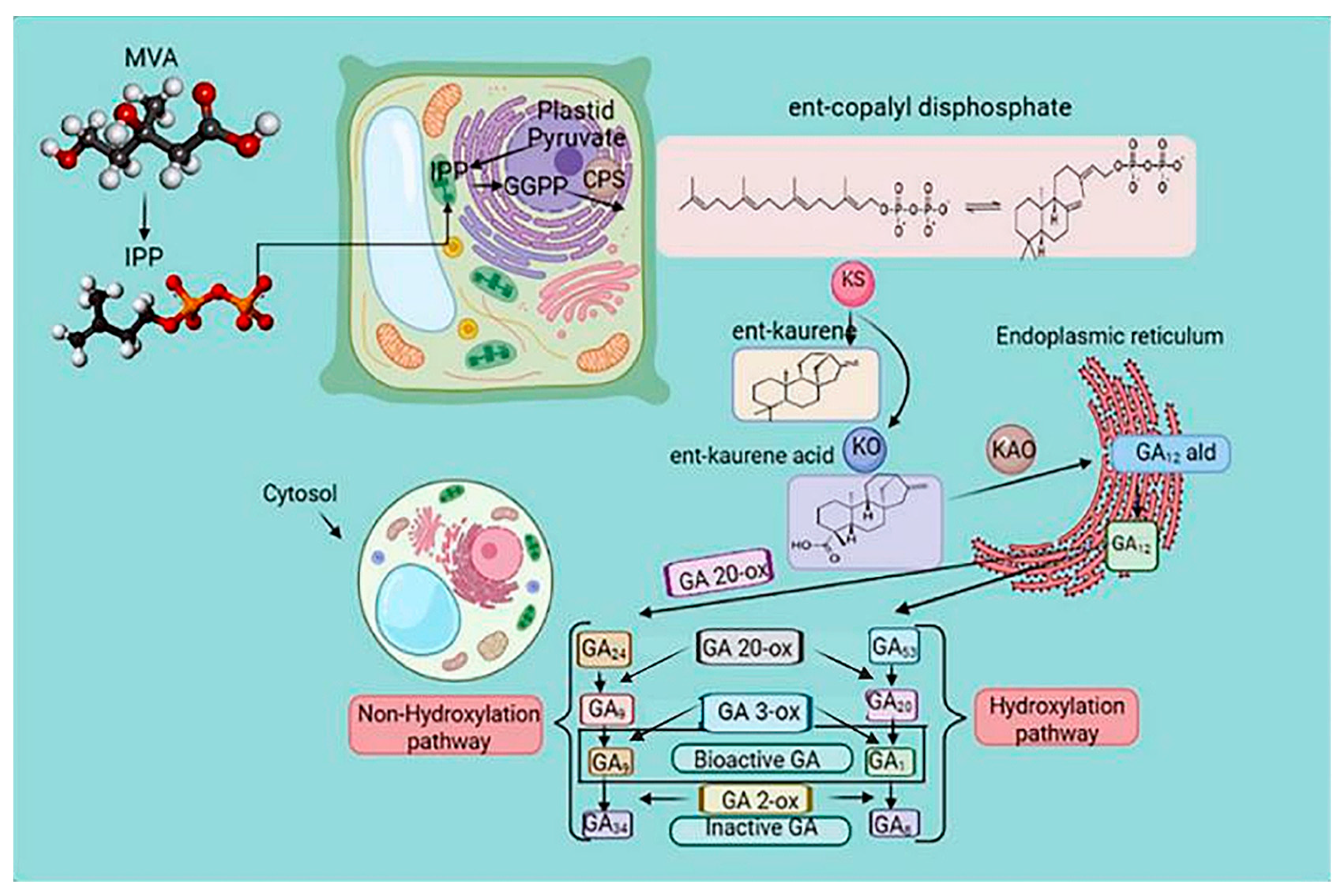 Agronomy 12 02790 g004