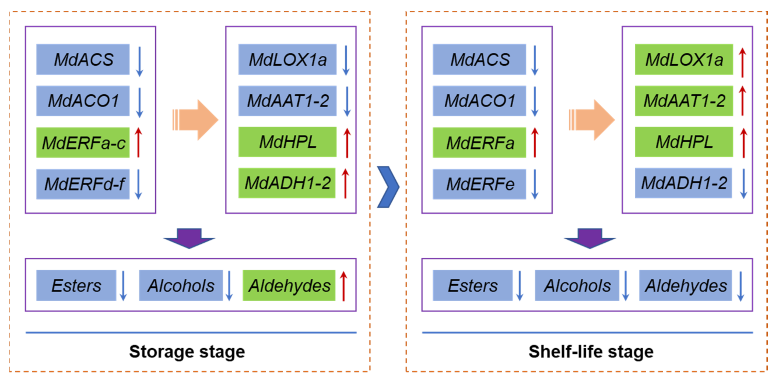 Agronomy 12 02794 g006 Agronomy 12 02794 g006