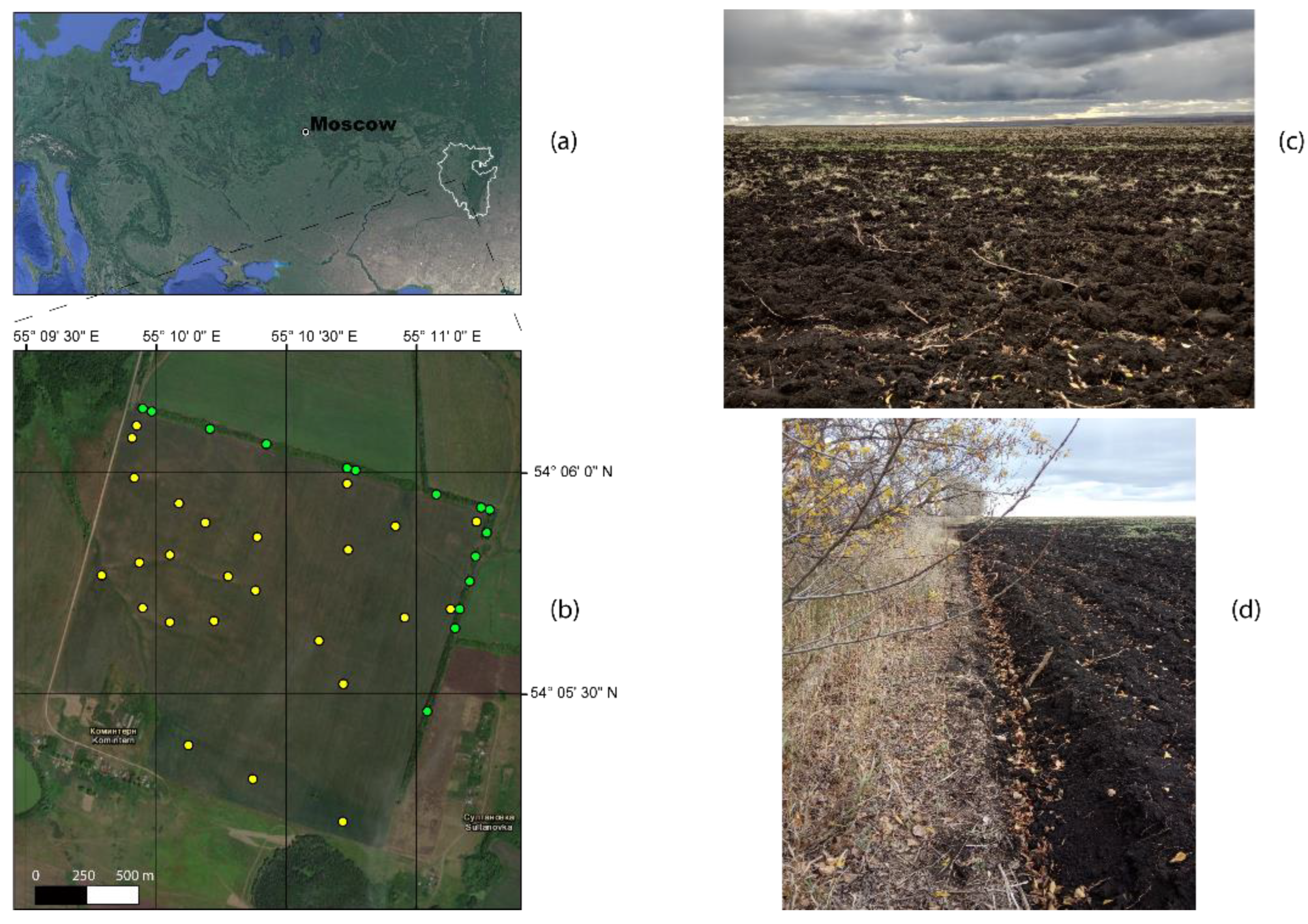 Agronomy 12 02800 g001 Agronomy 12 02800 g001