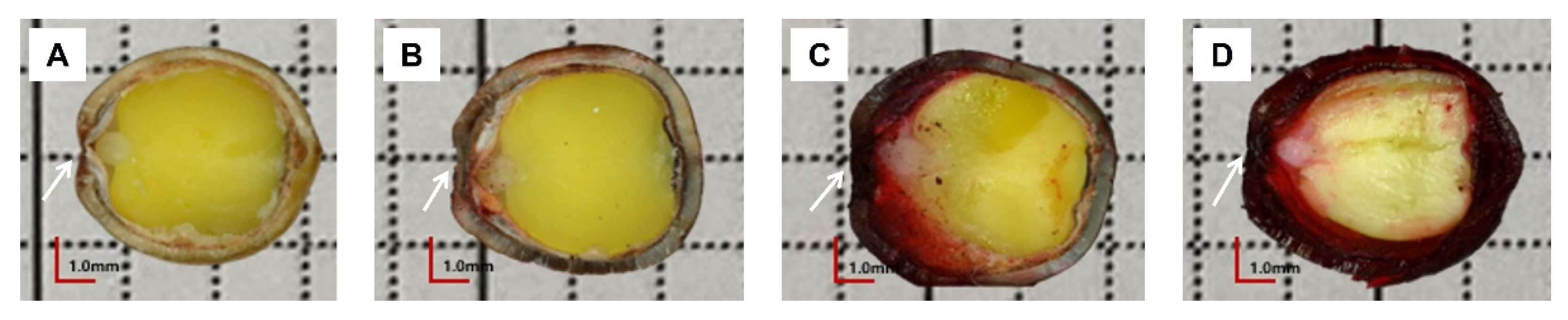 Agronomy 12 02801 g003
