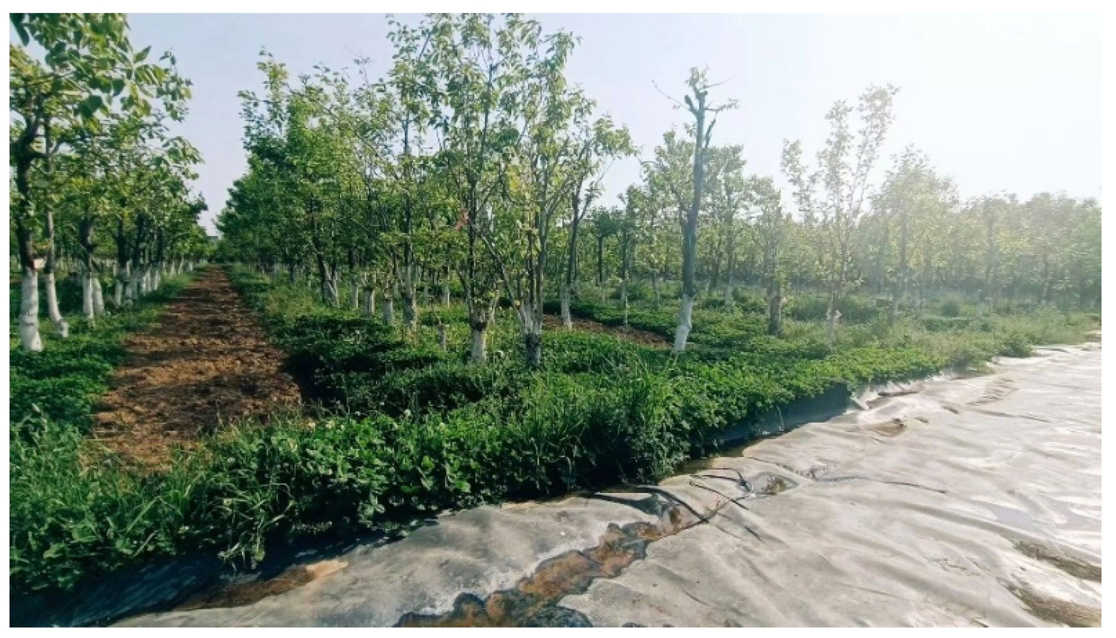 Agronomy 12 02803 g016 550