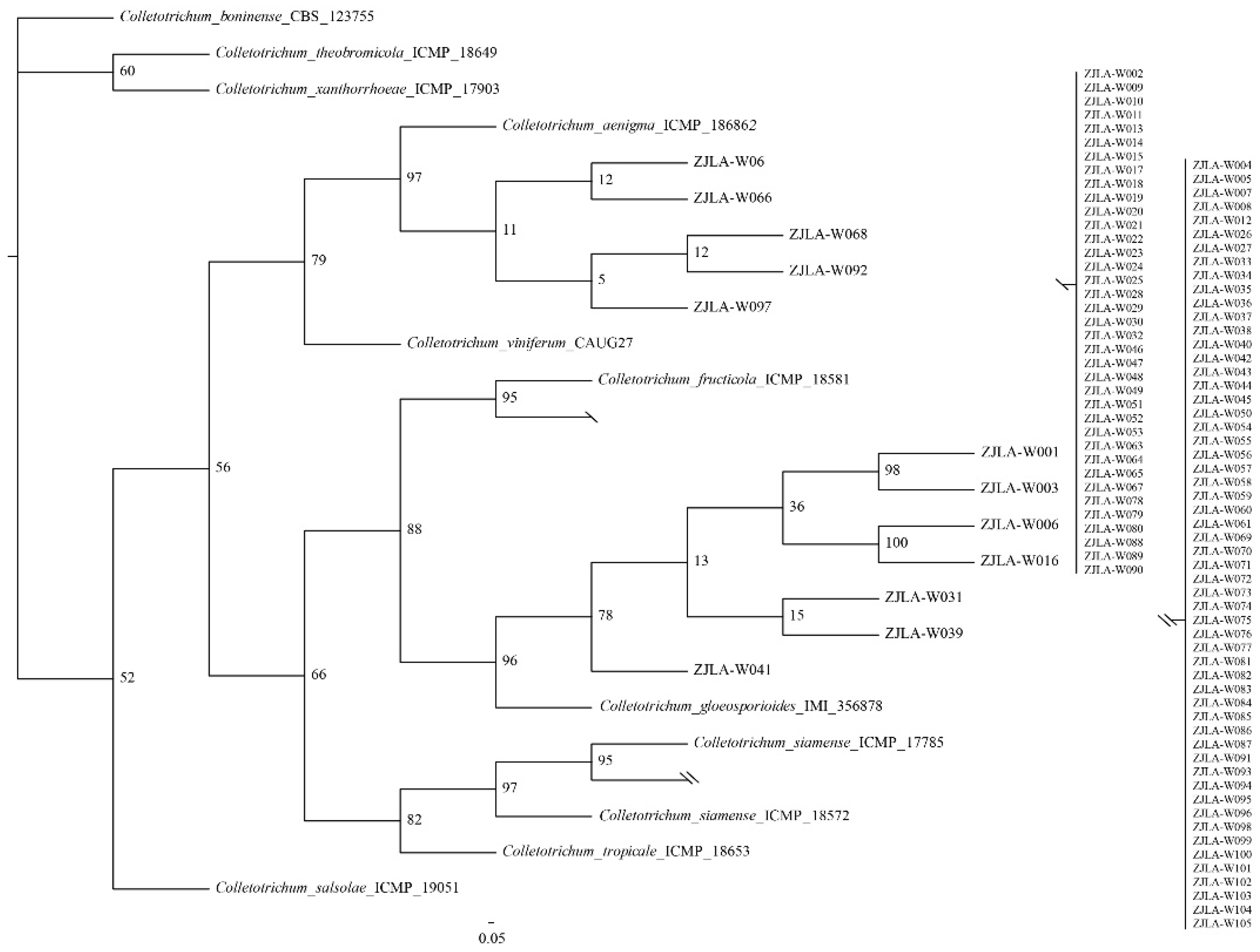 Agronomy 12 02815 g003