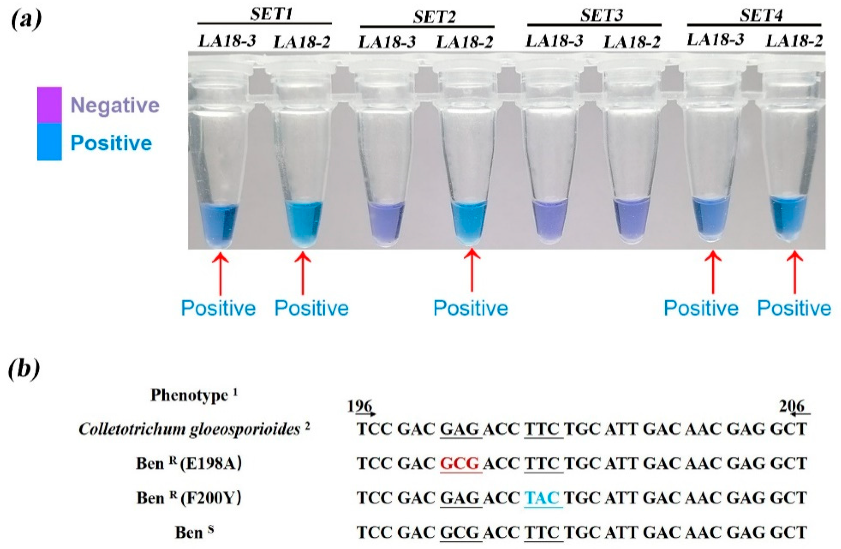 Agronomy 12 02815 g005