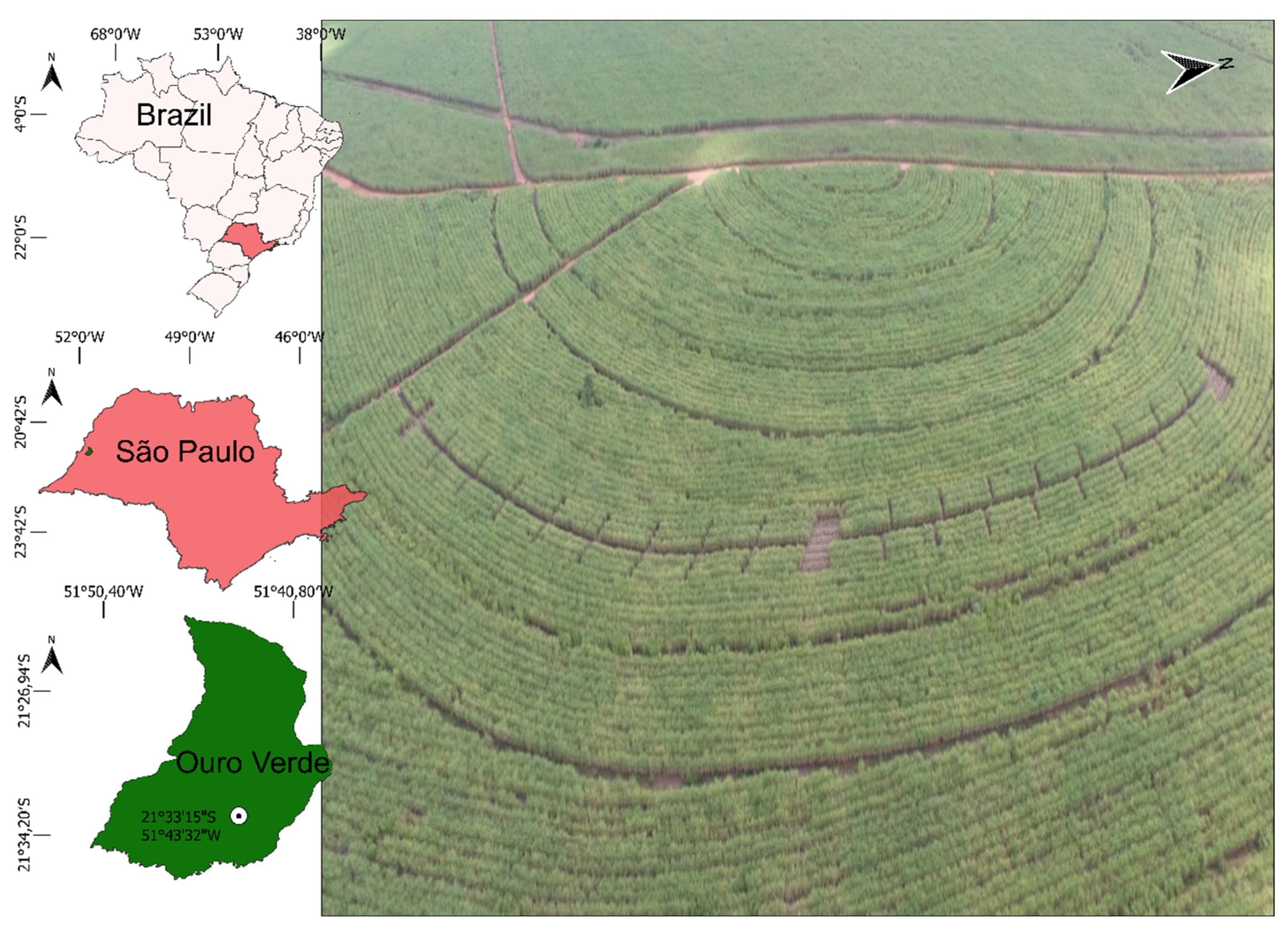 Agronomy 12 02817 g001