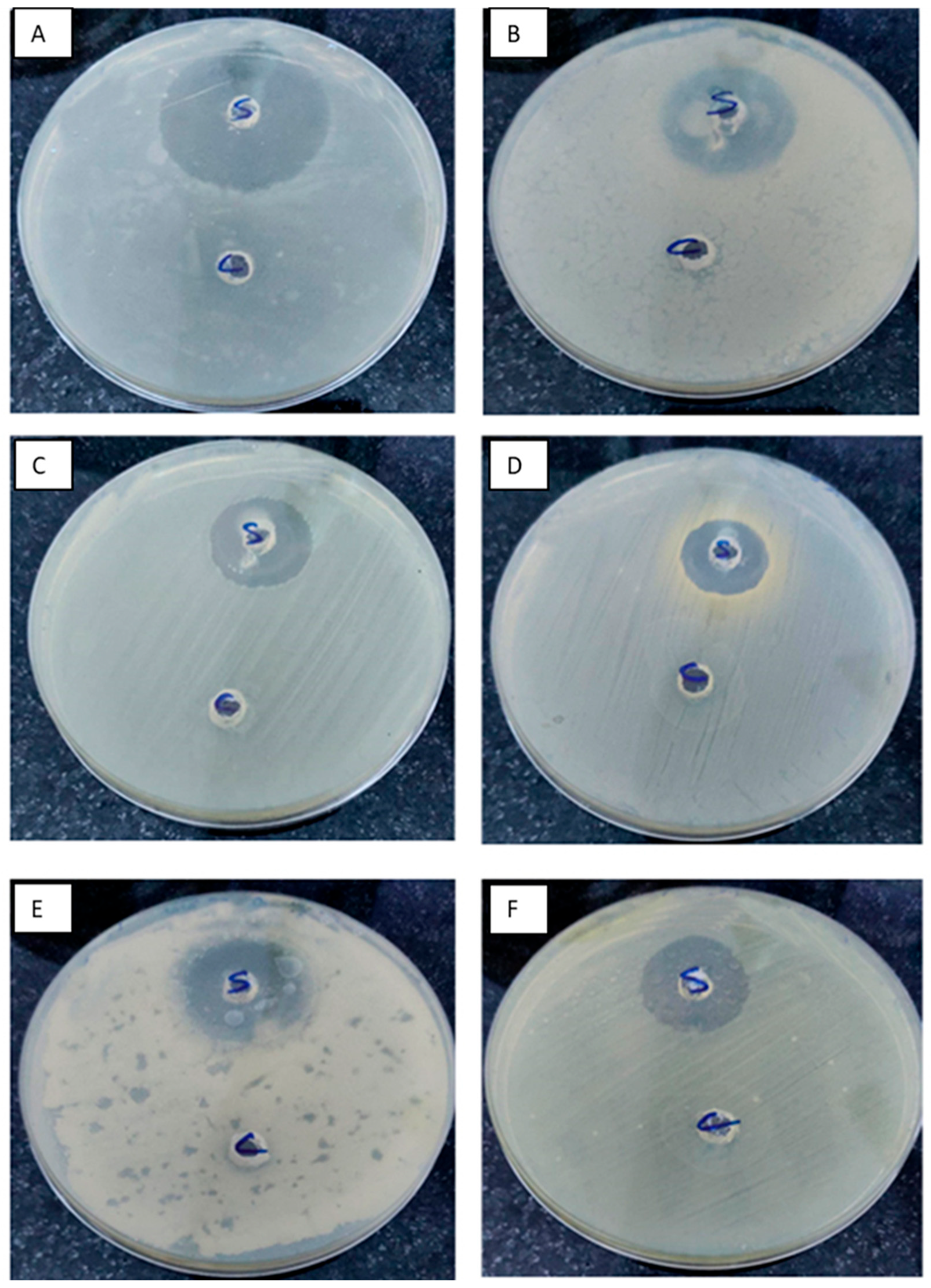 Agronomy 12 02818 g011