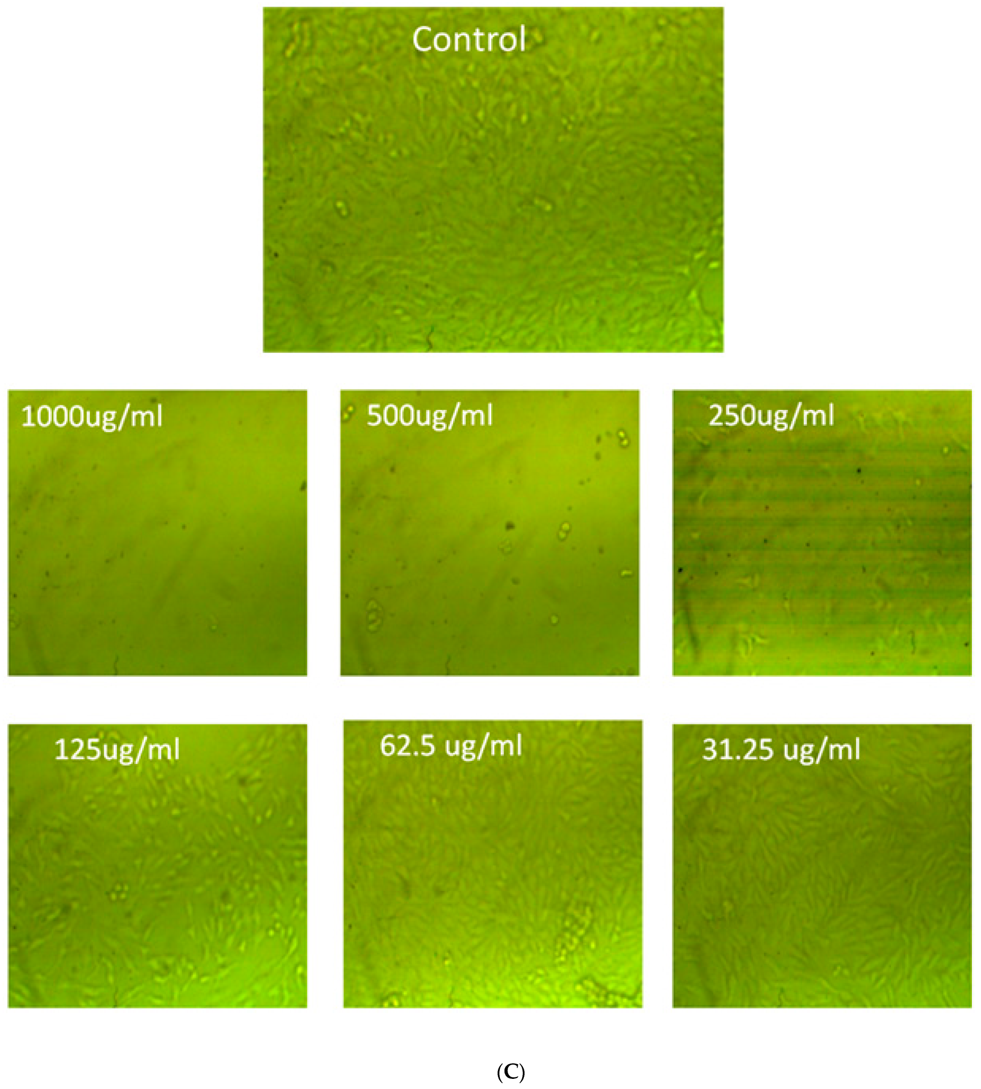 Agronomy 12 02818 g013c