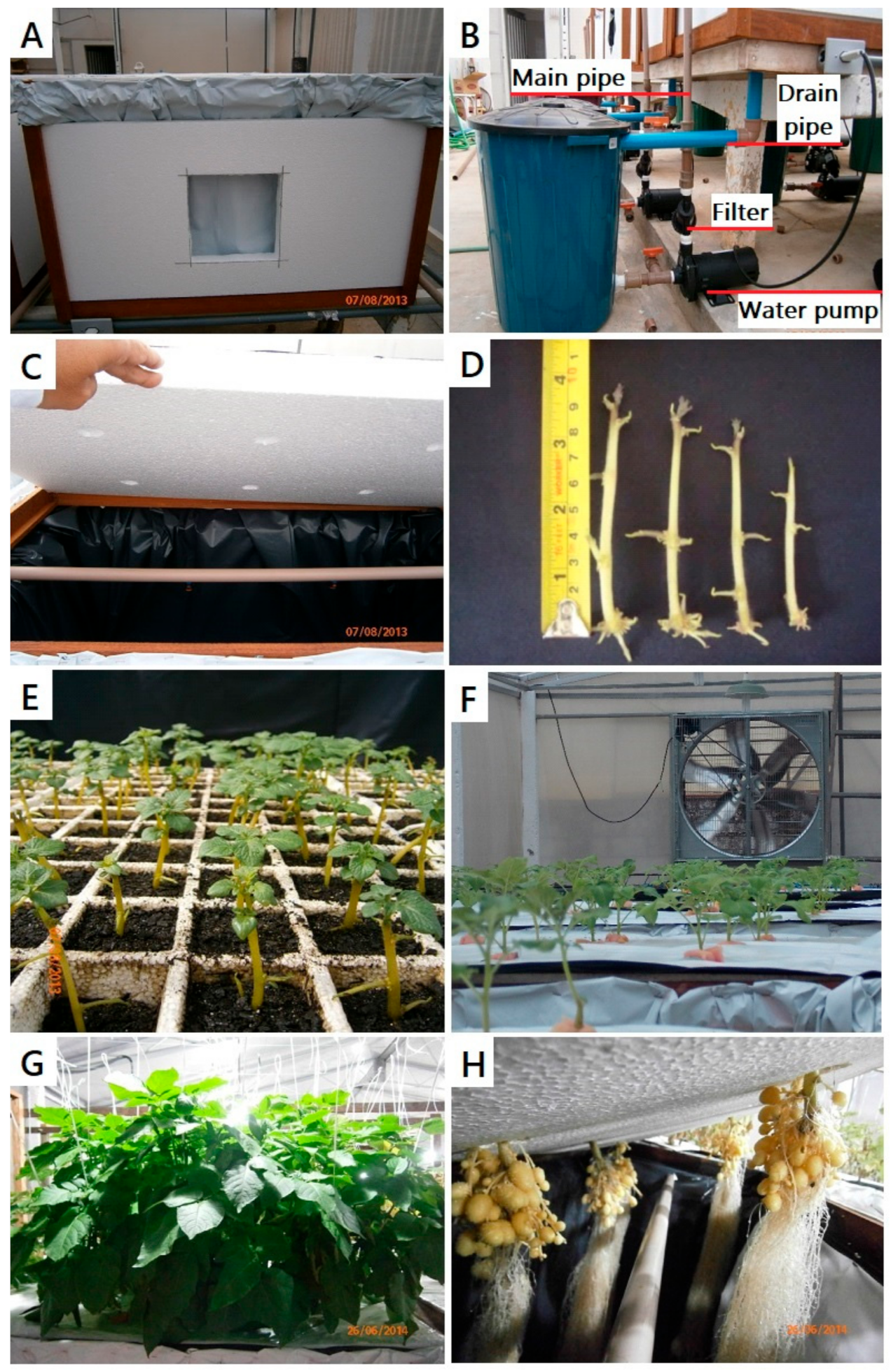 Agronomy 12 02820 g002